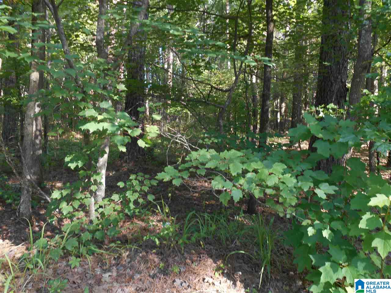39 Highway Chelsea Al, Unit 2A Chelsea, AL 35043 - Photo 5 of 5