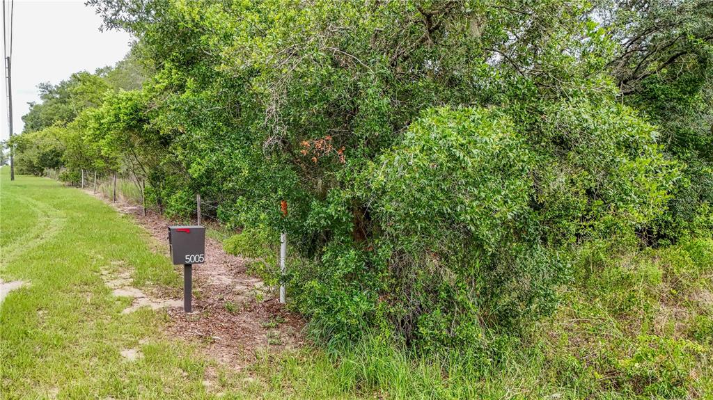 5501 Cemetery Road Mount Dora, FL 32757 - Photo 14 of 16