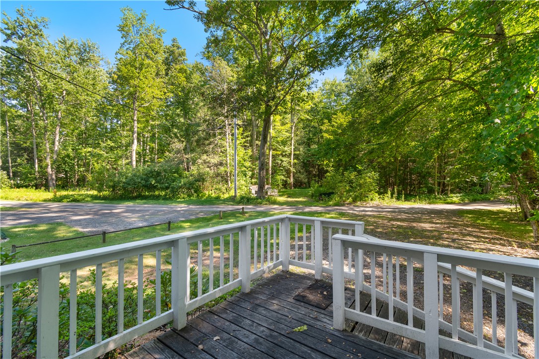 6925 Emerald Point Road Sodus, NY 14555 - Photo 25 of 32 The REAR DECK view to the woods