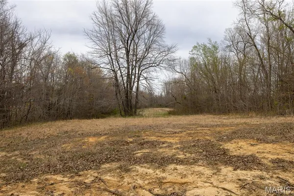 $249,000 | 194 Merino Lane, Poplar Bluff, MO 63901