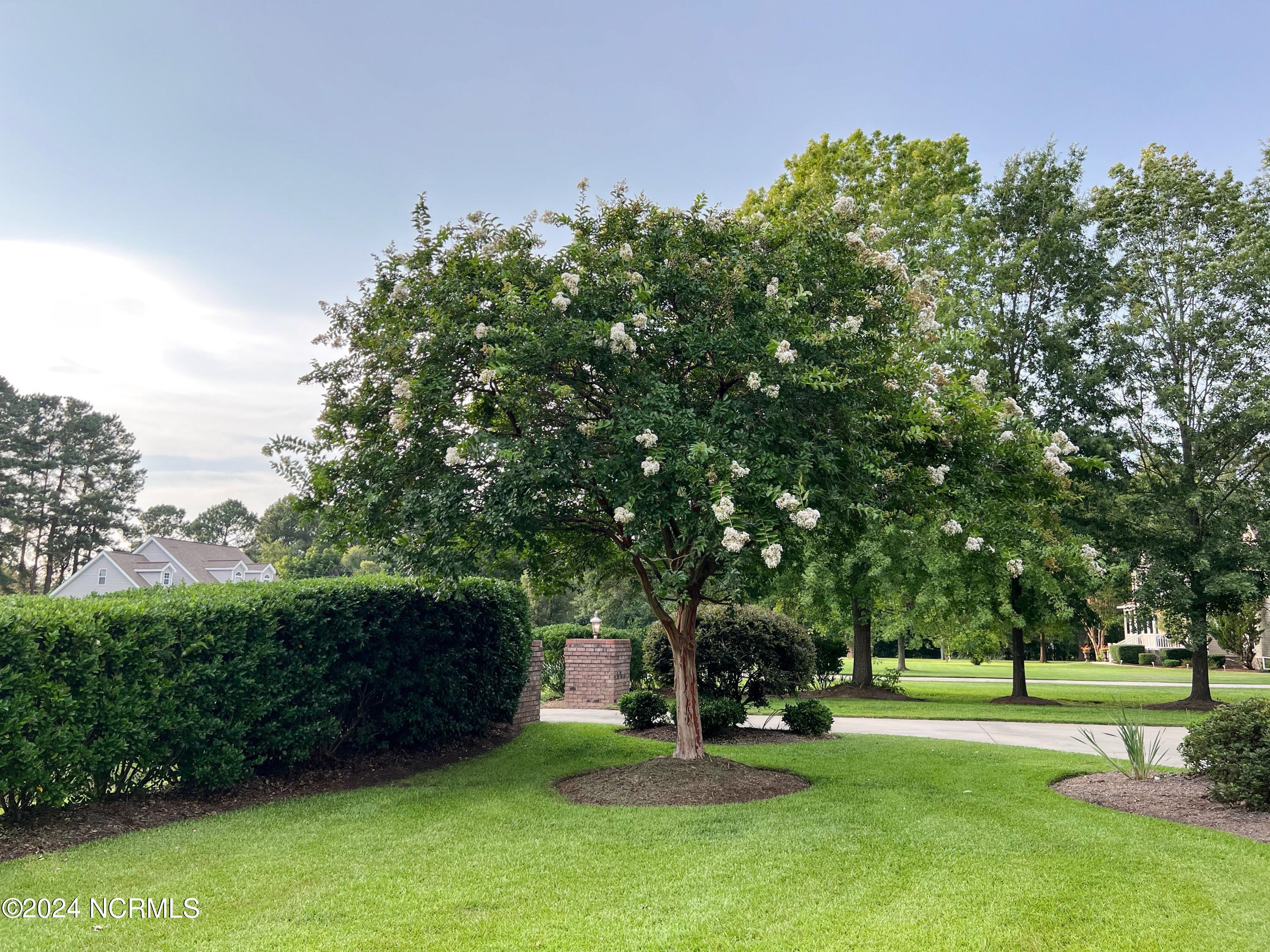 1431 Devon Drive Grimesland, NC 27837 - Photo 56 of 58 Yard