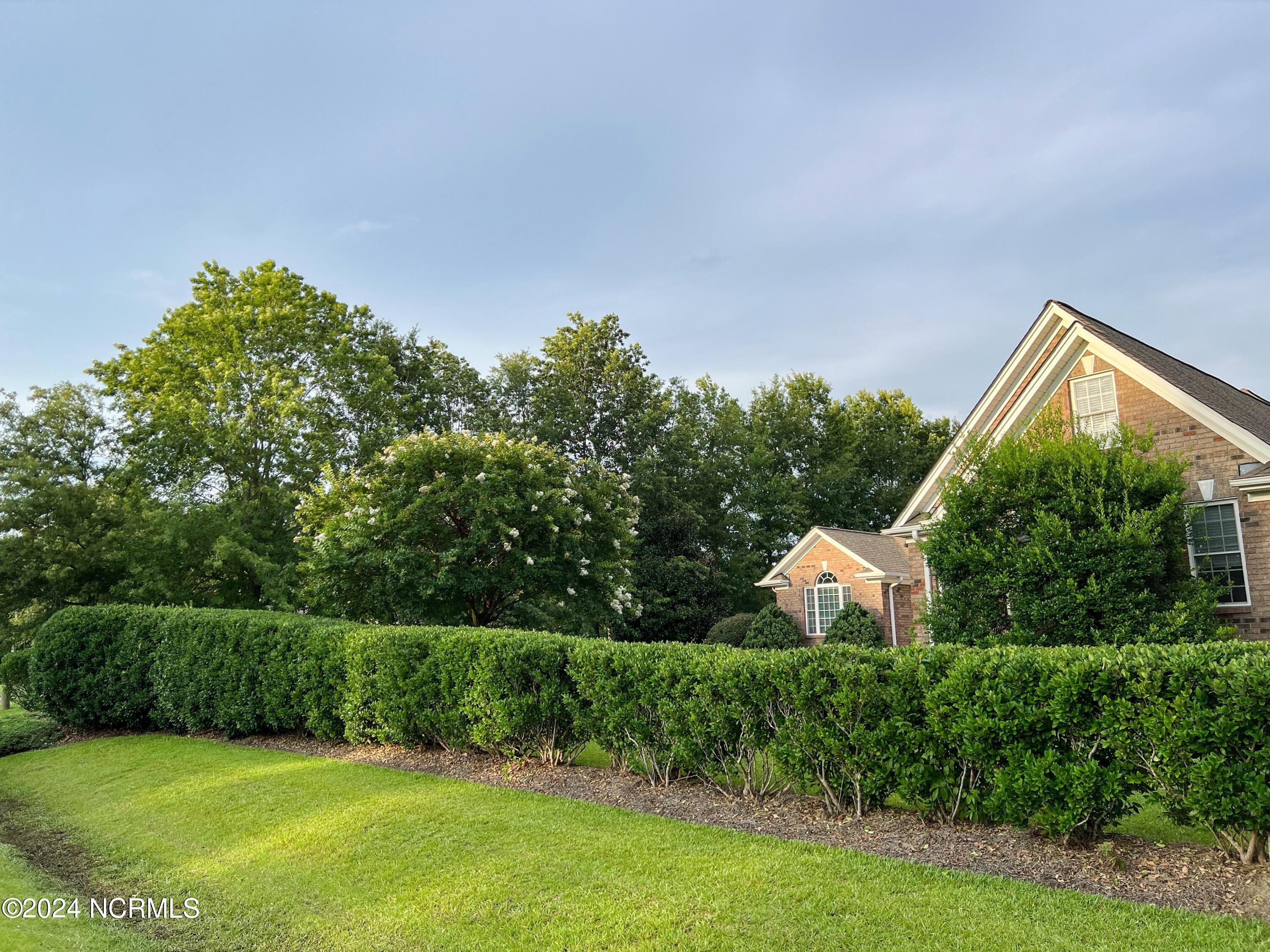 1431 Devon Drive Grimesland, NC 27837 - Photo 57 of 58 Privacy Hedge