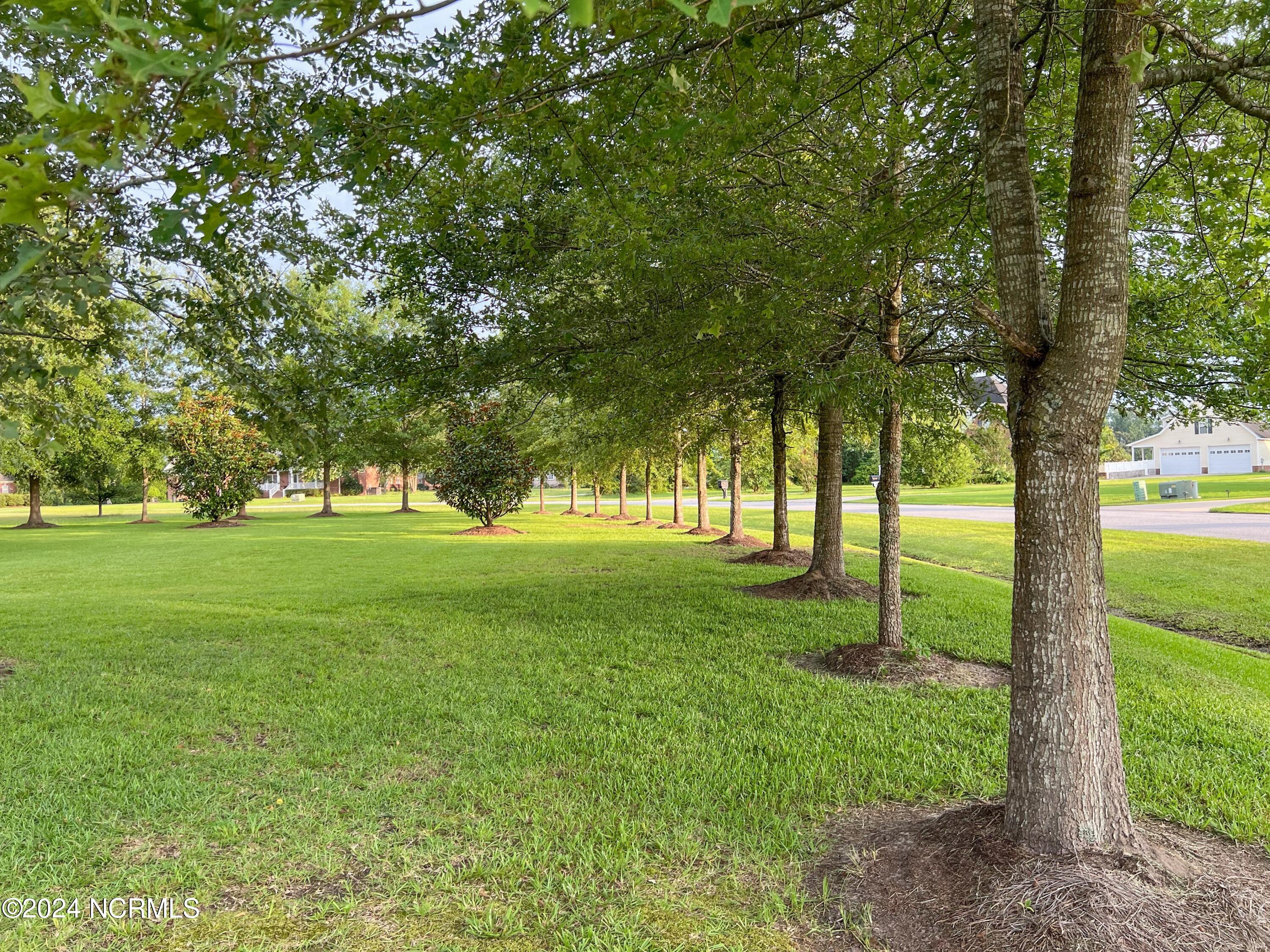 1431 Devon Drive Grimesland, NC 27837 - Photo 7 of 58 Shade Trees