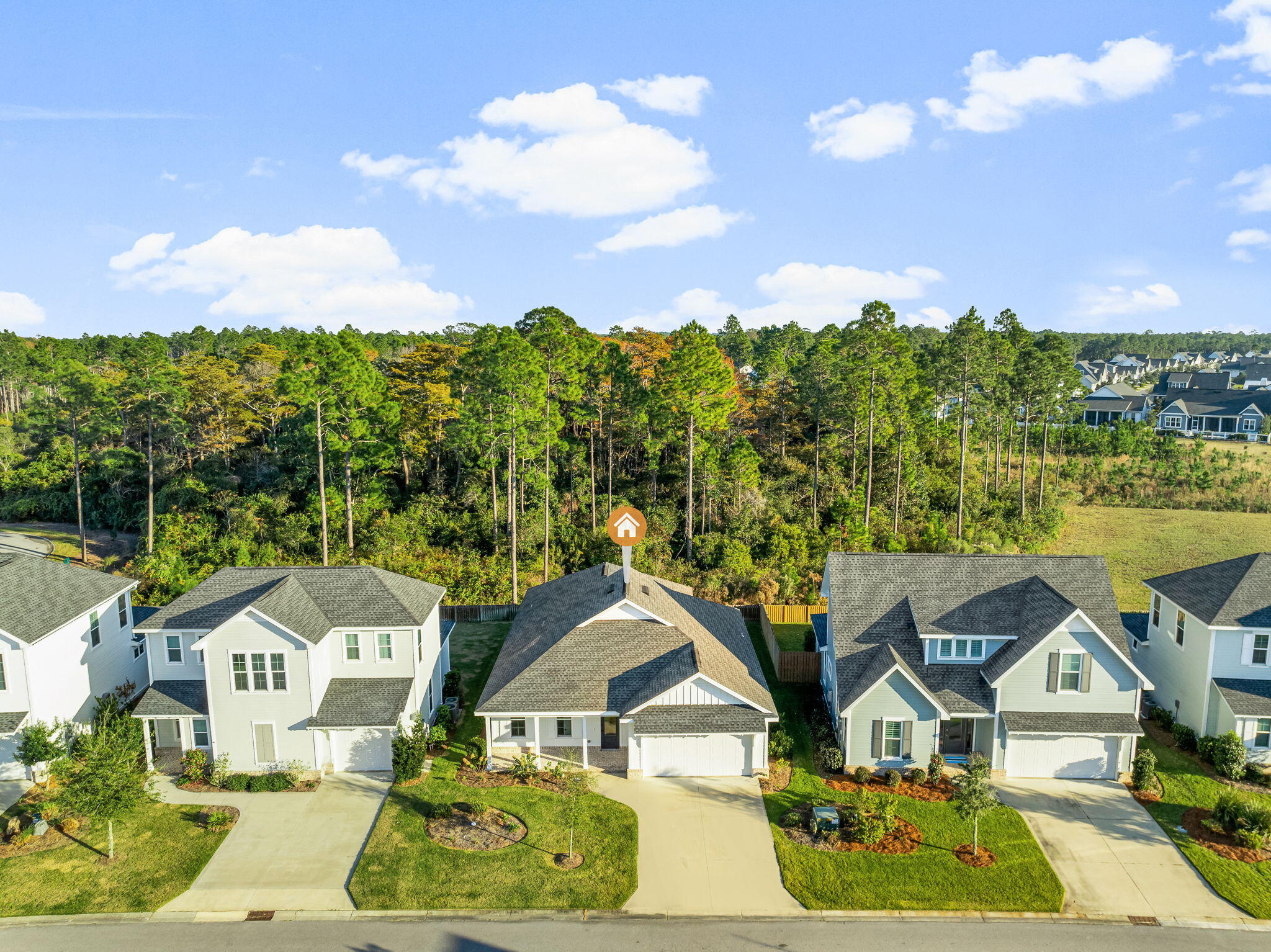 95 Conifer Ct Inlet Beach Inlet Beach, FL 32461 - Photo 30 of 33 a view of multiple houses with city street