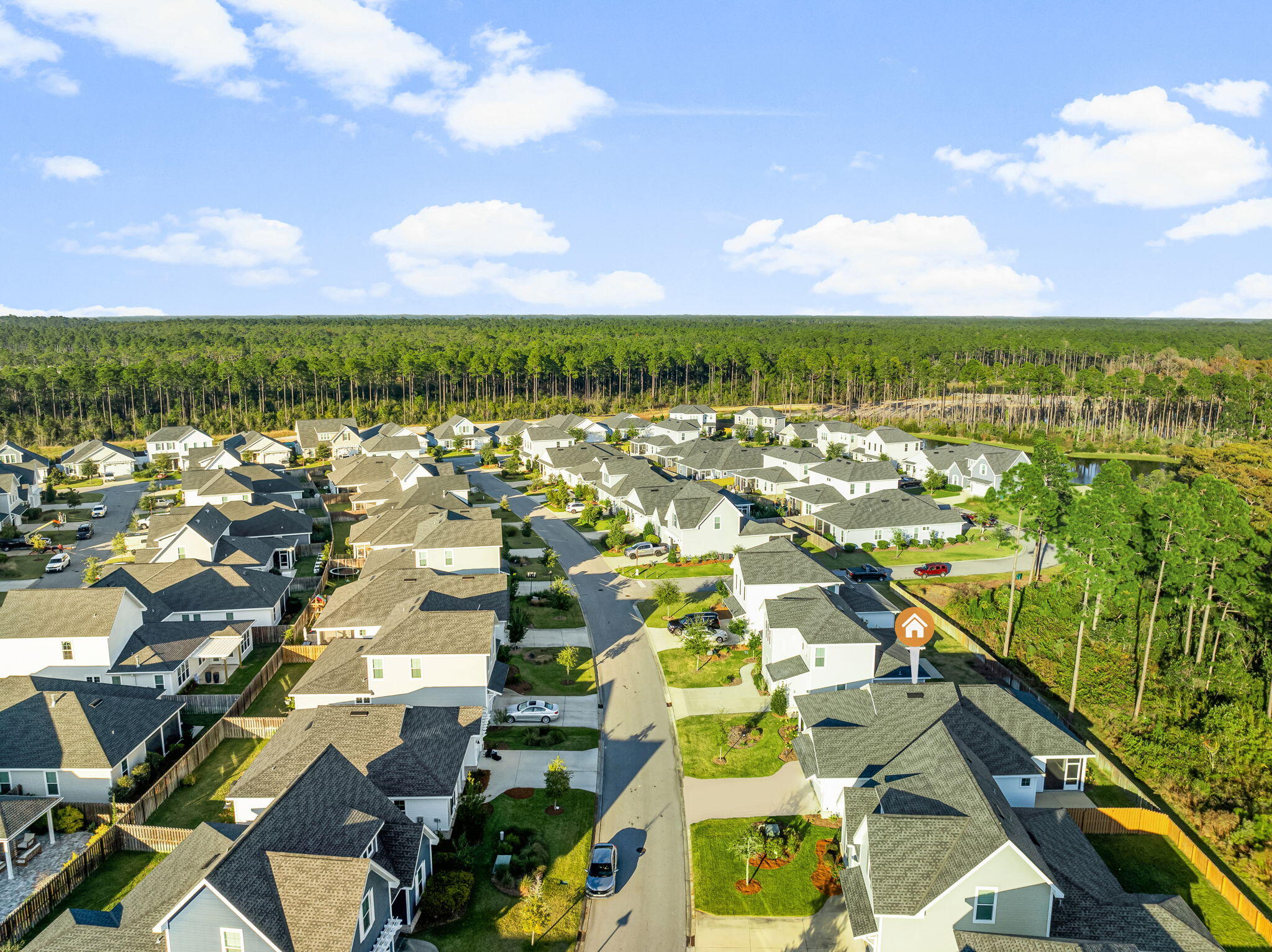 95 Conifer Ct Inlet Beach Inlet Beach, FL 32461 - Photo 32 of 33 a view of a city with lots of residential buildings ocean and mountain view in back