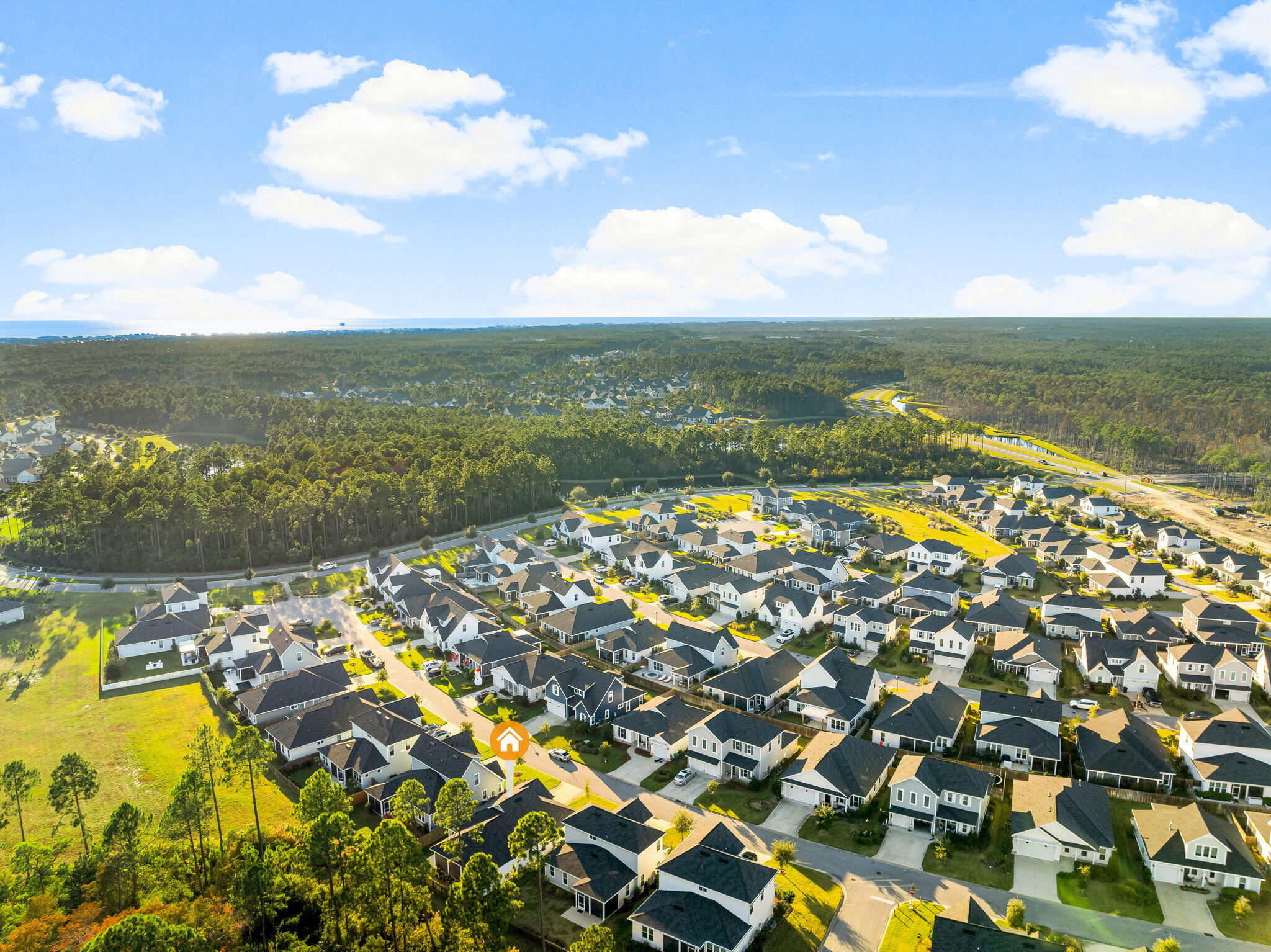 95 Conifer Ct Inlet Beach Inlet Beach, FL 32461 - Photo 33 of 33 a view of an ocean