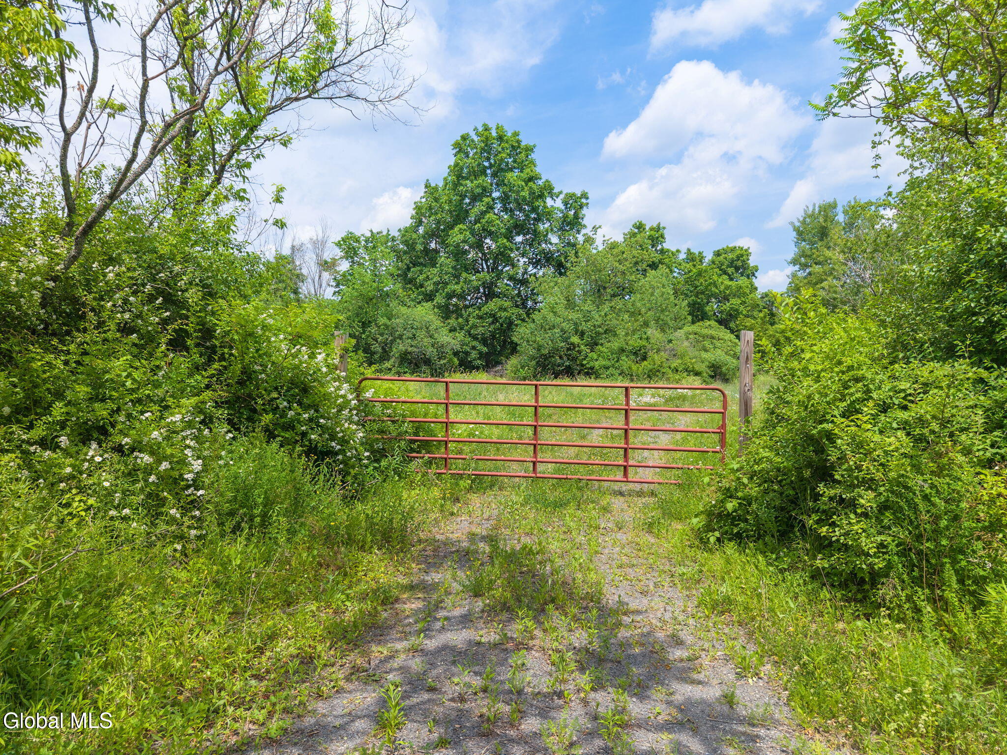 124 Quay Road Knox, NY 12053 - Photo 5 of 23 14-124QuayRd_14