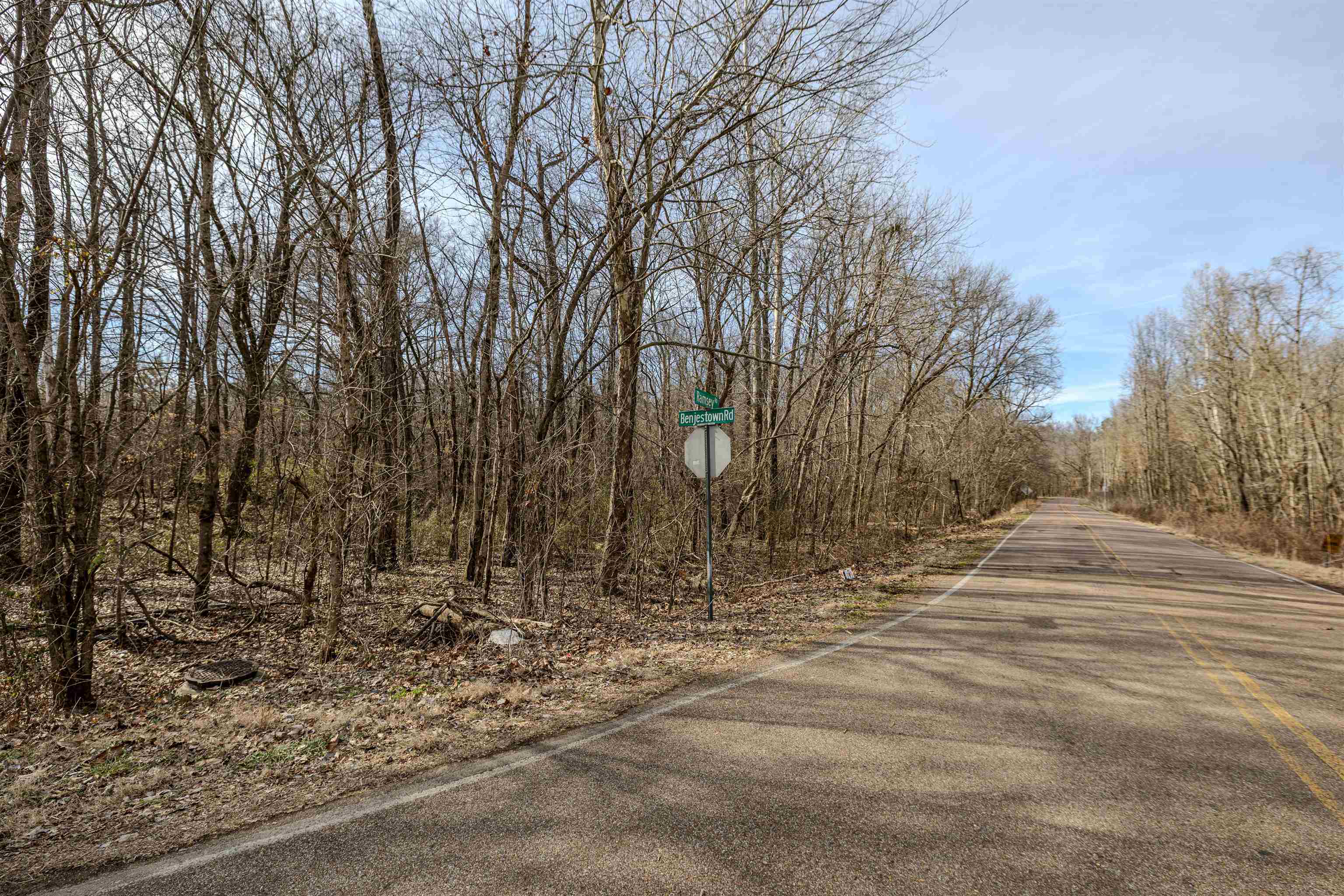 5155 Benjestown Road Memphis, TN 38127 - Photo 5 of 36 a view of dirt yard with trees