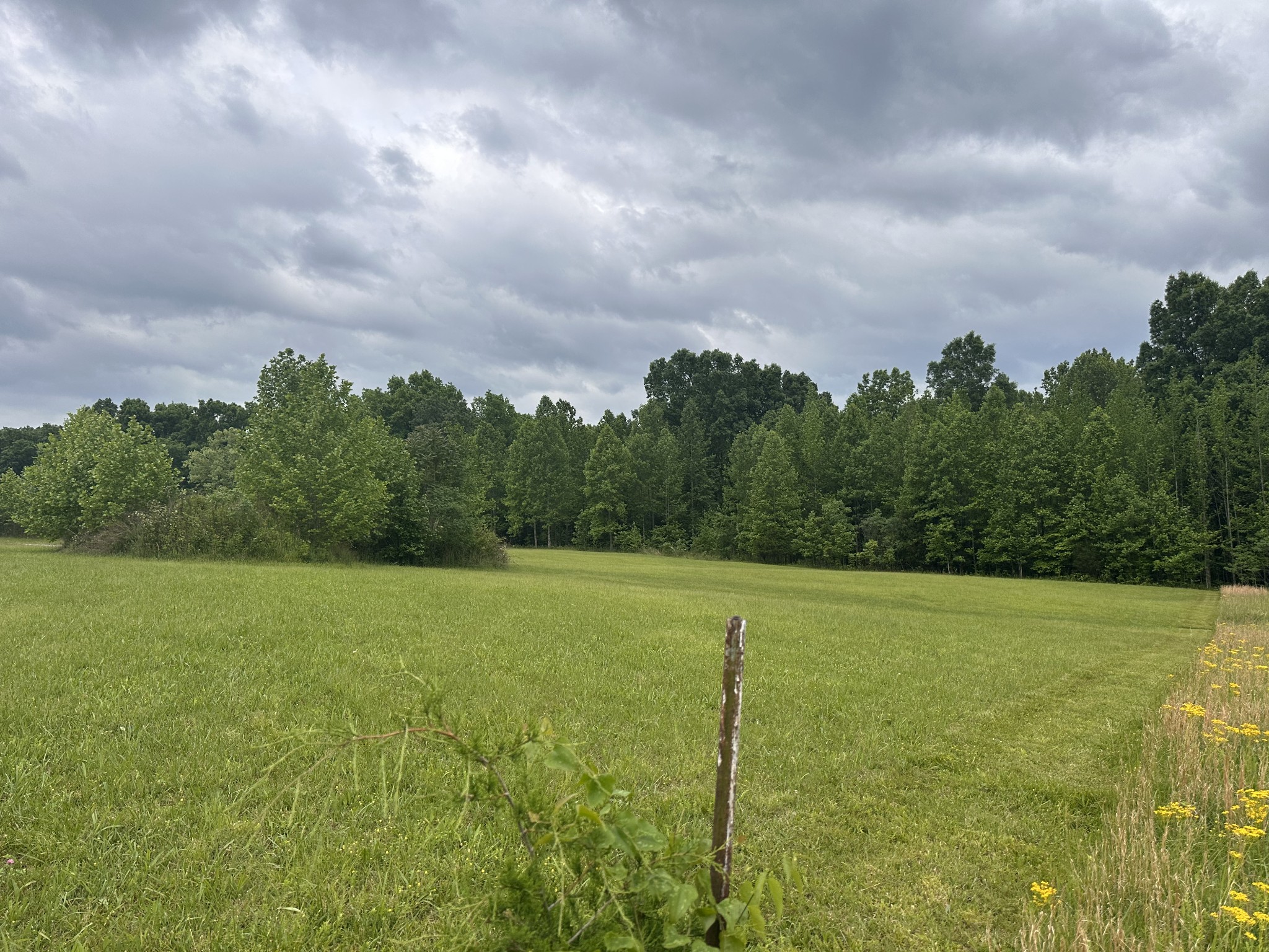 1249 C Reese Road Bethpage, TN 37022 - Photo 4 of 13 Gallery Image 4