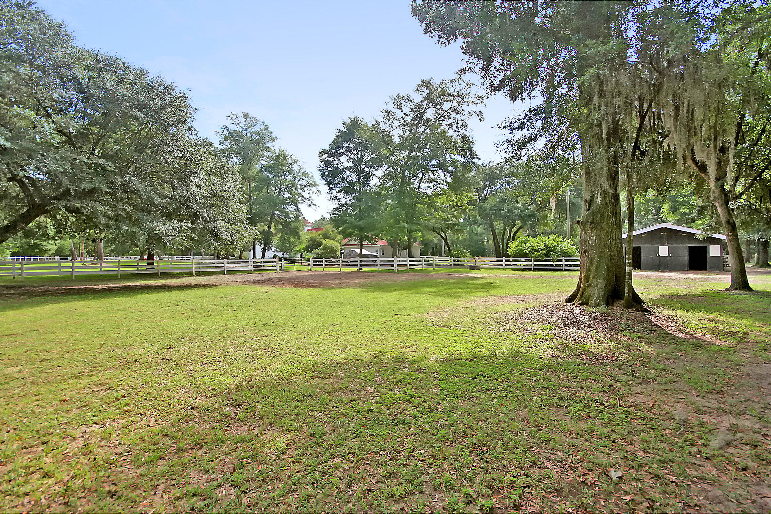5207 County Line Road Ravenel, SC 29470 - Photo 39 of 43 Pasture