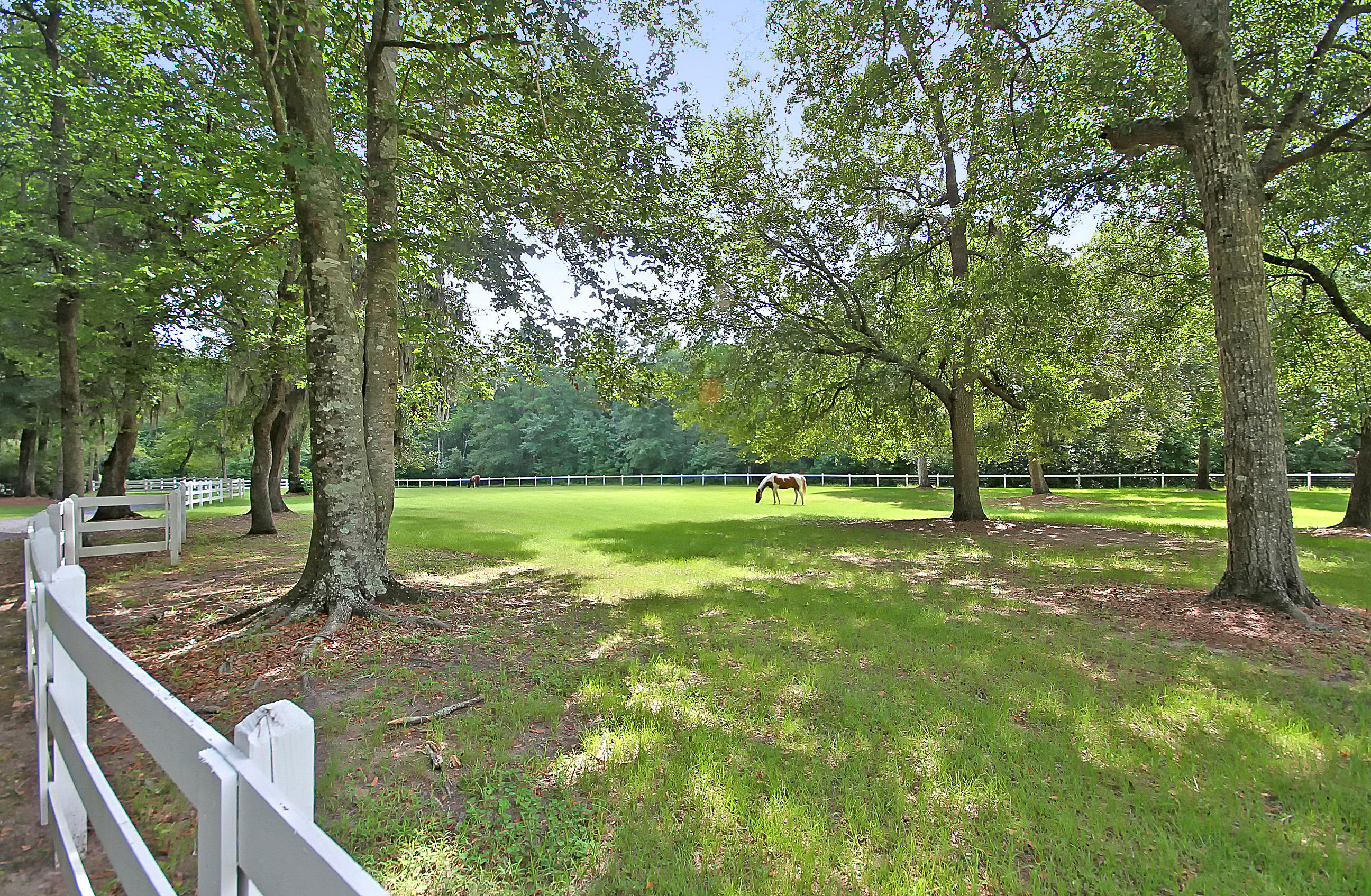 5207 County Line Road Ravenel, SC 29470 - Photo 5 of 43 Pasture