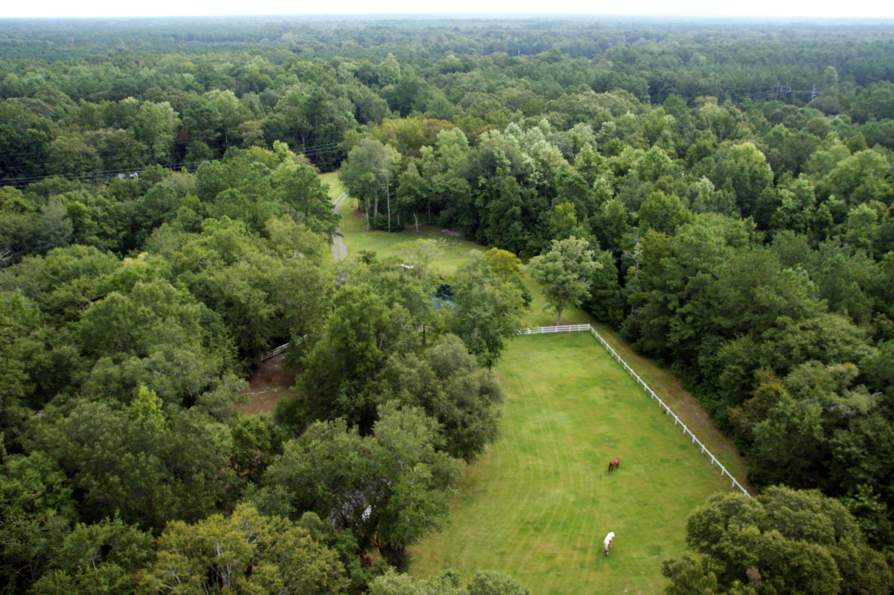 5207 County Line Road Ravenel, SC 29470 - Photo 42 of 43 Aerial of Property