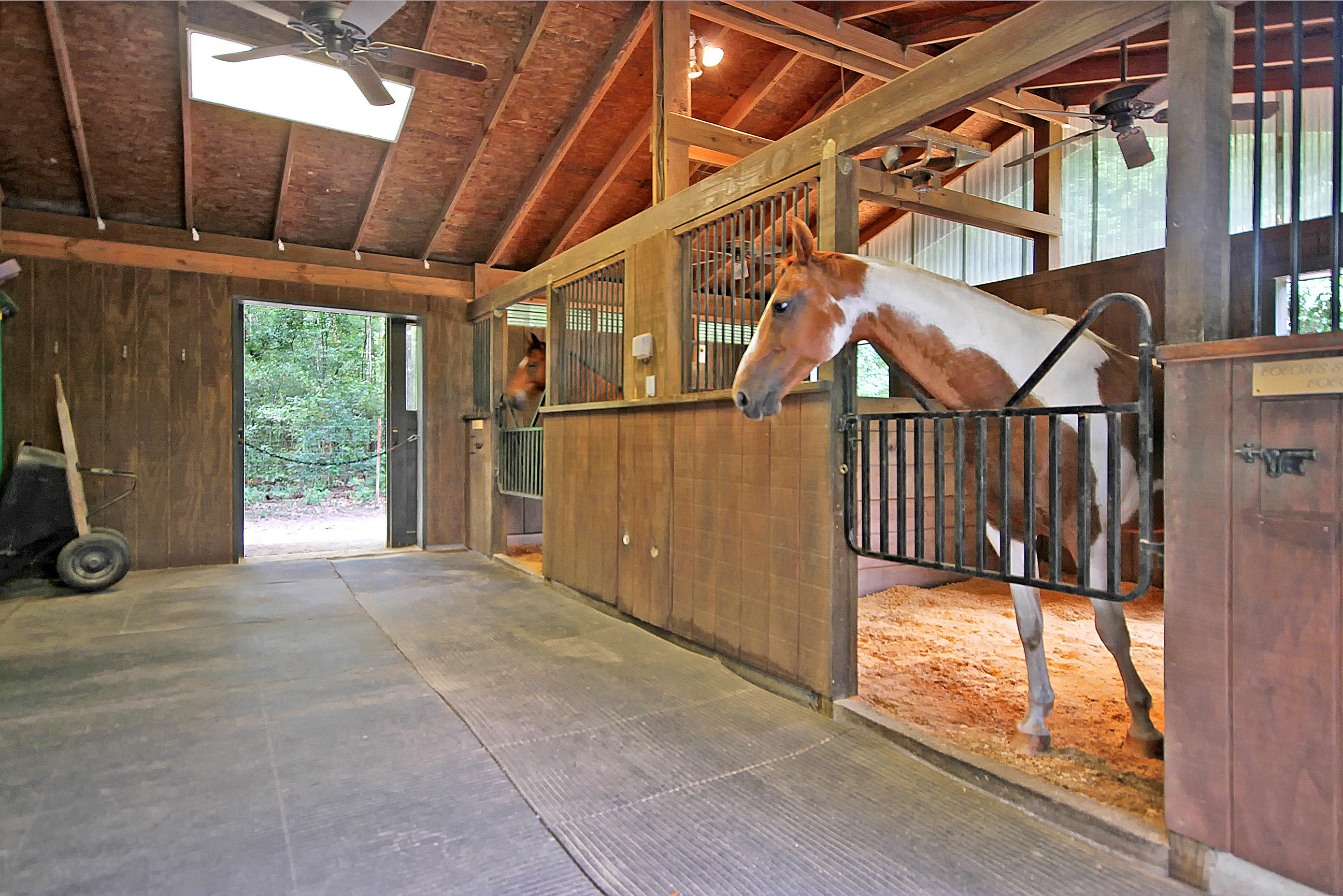 5207 County Line Road Ravenel, SC 29470 - Photo 6 of 43 Horse Stable