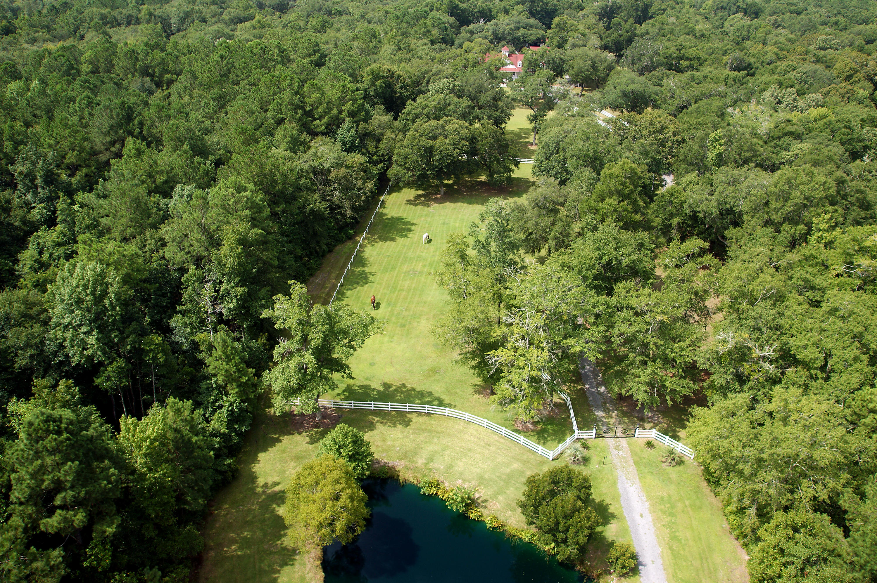 5207 County Line Road Ravenel, SC 29470 - Photo 7 of 43 Expansive Property