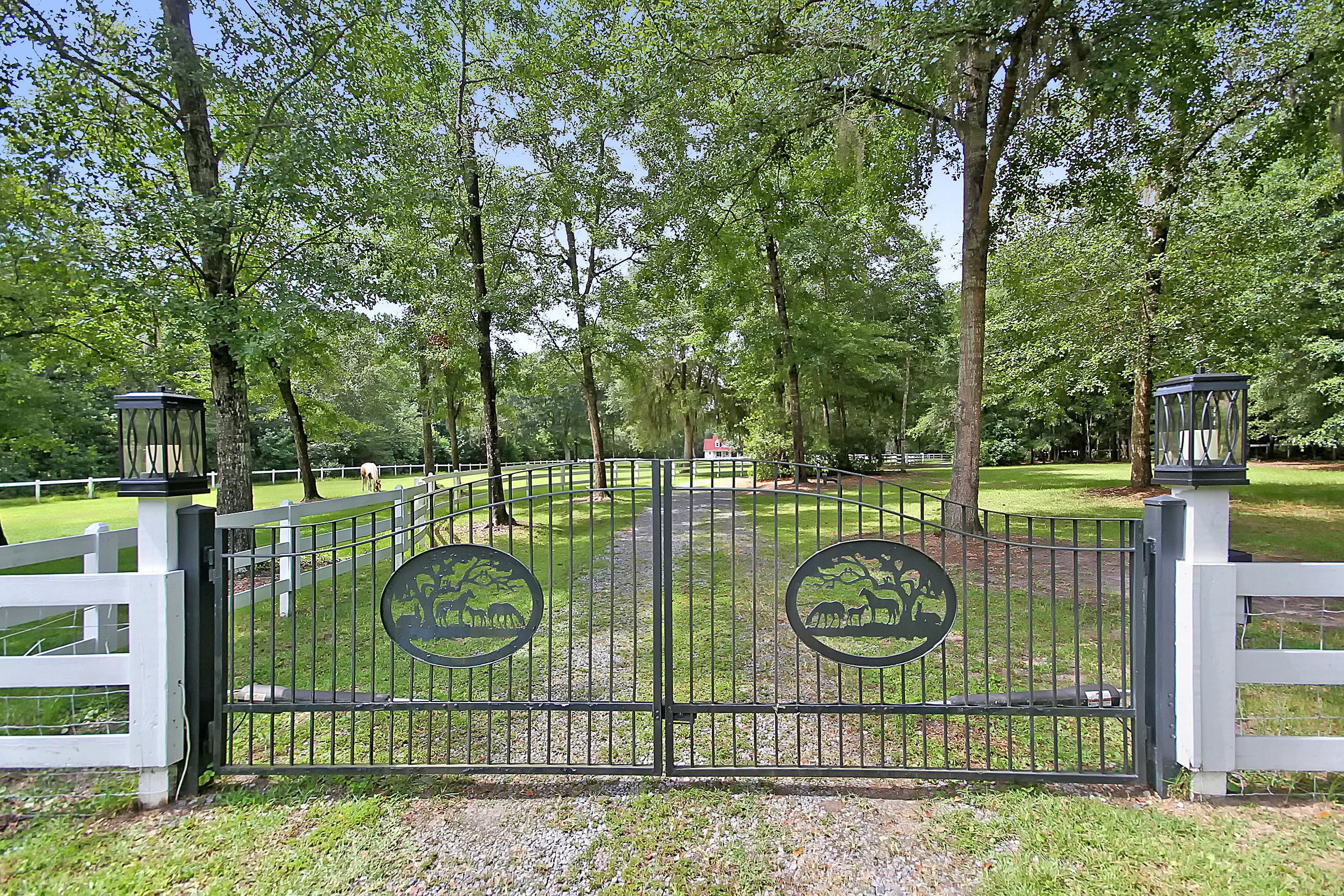 5207 County Line Road Ravenel, SC 29470 - Photo 8 of 43 Front Gate