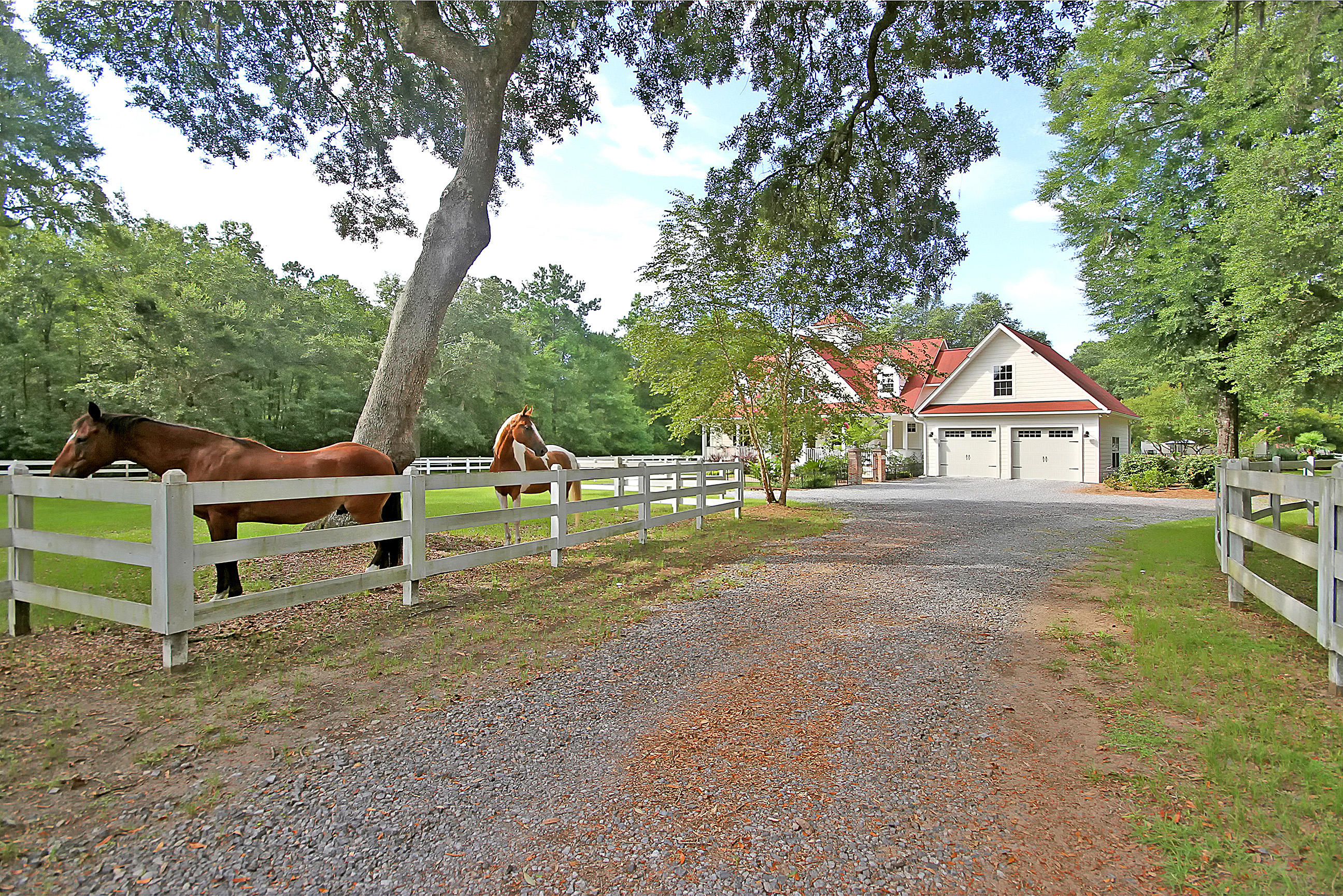 5207 County Line Road Ravenel, SC 29470 - Photo 9 of 43 Gentleman's Horse Farm