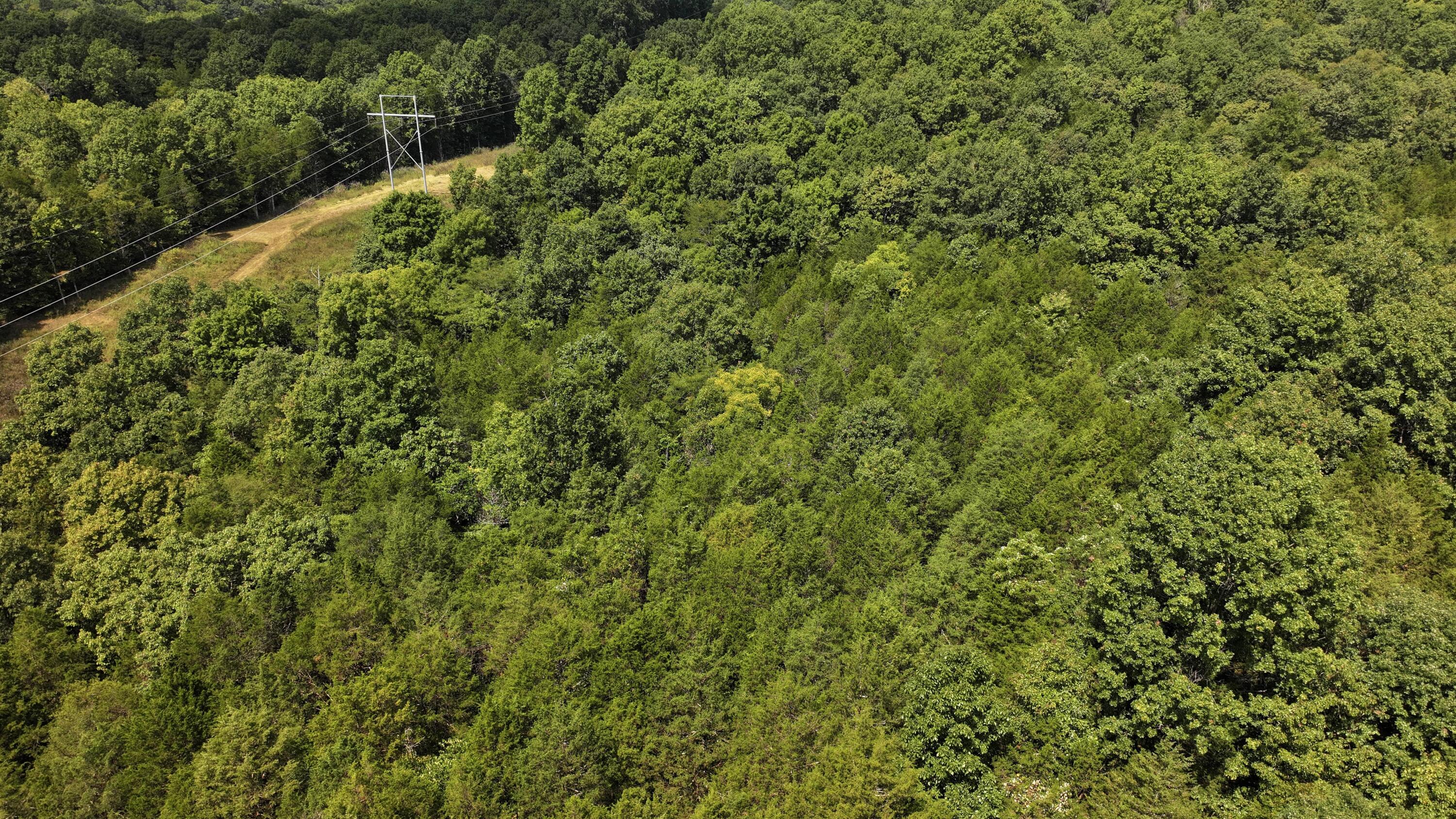 0 Caney Creek Road Owenton, KY 40359 - Photo 26 of 35