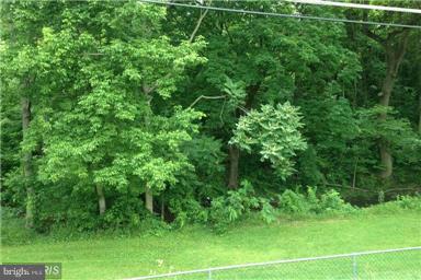 8127 Woodhaven Road Baltimore, MD 21237 - Photo 3 of 29 Backs to trees for privacy!