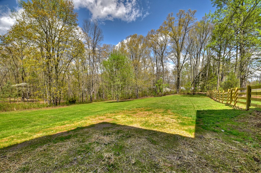 975 Goss Road Epworth, GA 30541 - Photo 55 of 59 a view of a yard with a large trees
