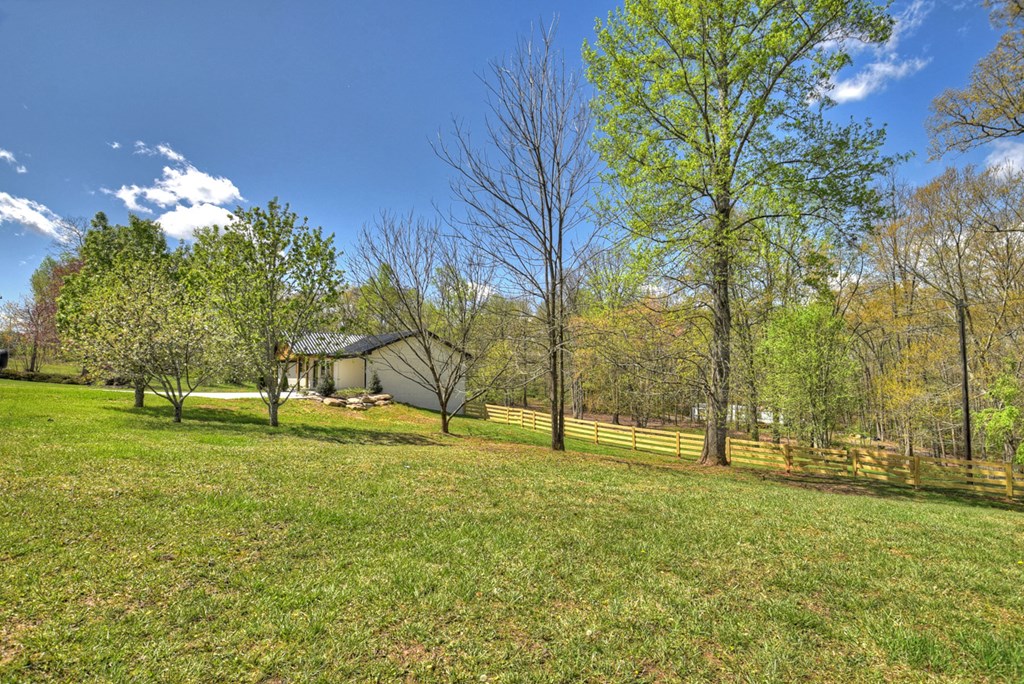 975 Goss Road Epworth, GA 30541 - Photo 8 of 59 a view of a park with large trees
