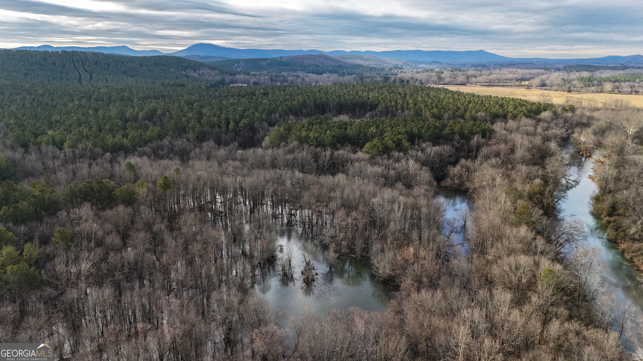 557 Acres On Taliaferro Springs Road Lyerly, GA 30730 - Photo 11 of 15 a view of city and mountain