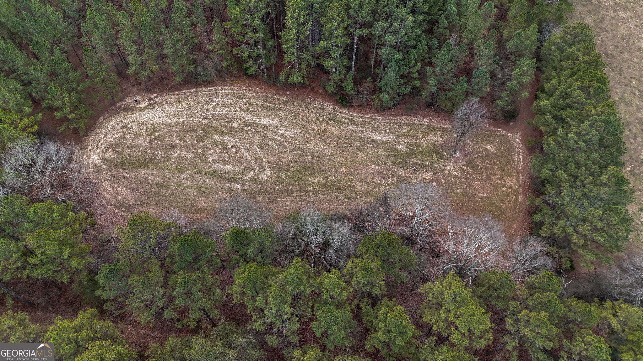 557 Acres On Taliaferro Springs Road Lyerly, GA 30730 - Photo 13 of 15 a view of a forest with trees in the background