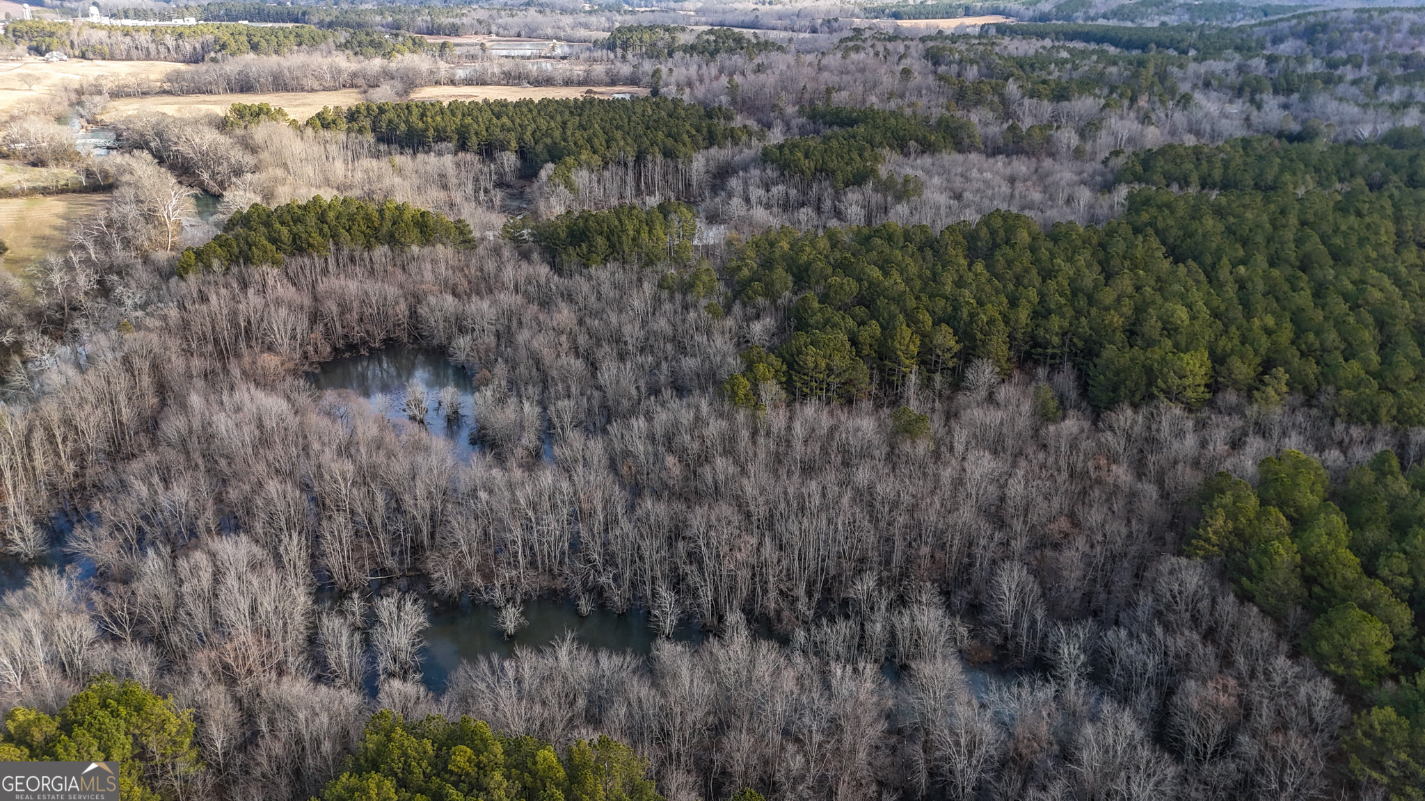 557 Acres On Taliaferro Springs Road Lyerly, GA 30730 - Photo 14 of 15 a view of a lush green forest with large trees