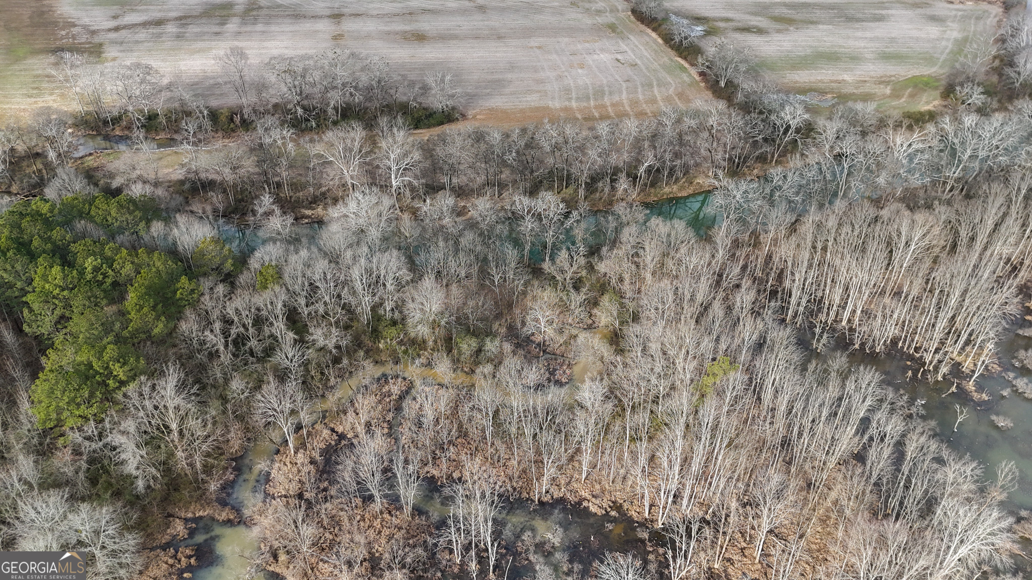 557 Acres On Taliaferro Springs Road Lyerly, GA 30730 - Photo 8 of 15 a view of a dry yard