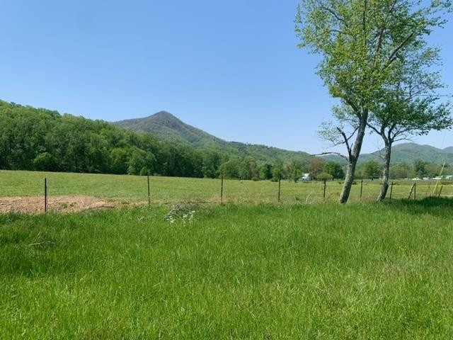11 Katy Hollar Rd. Road Sevierville, TN 37862 - Photo 4 of 17