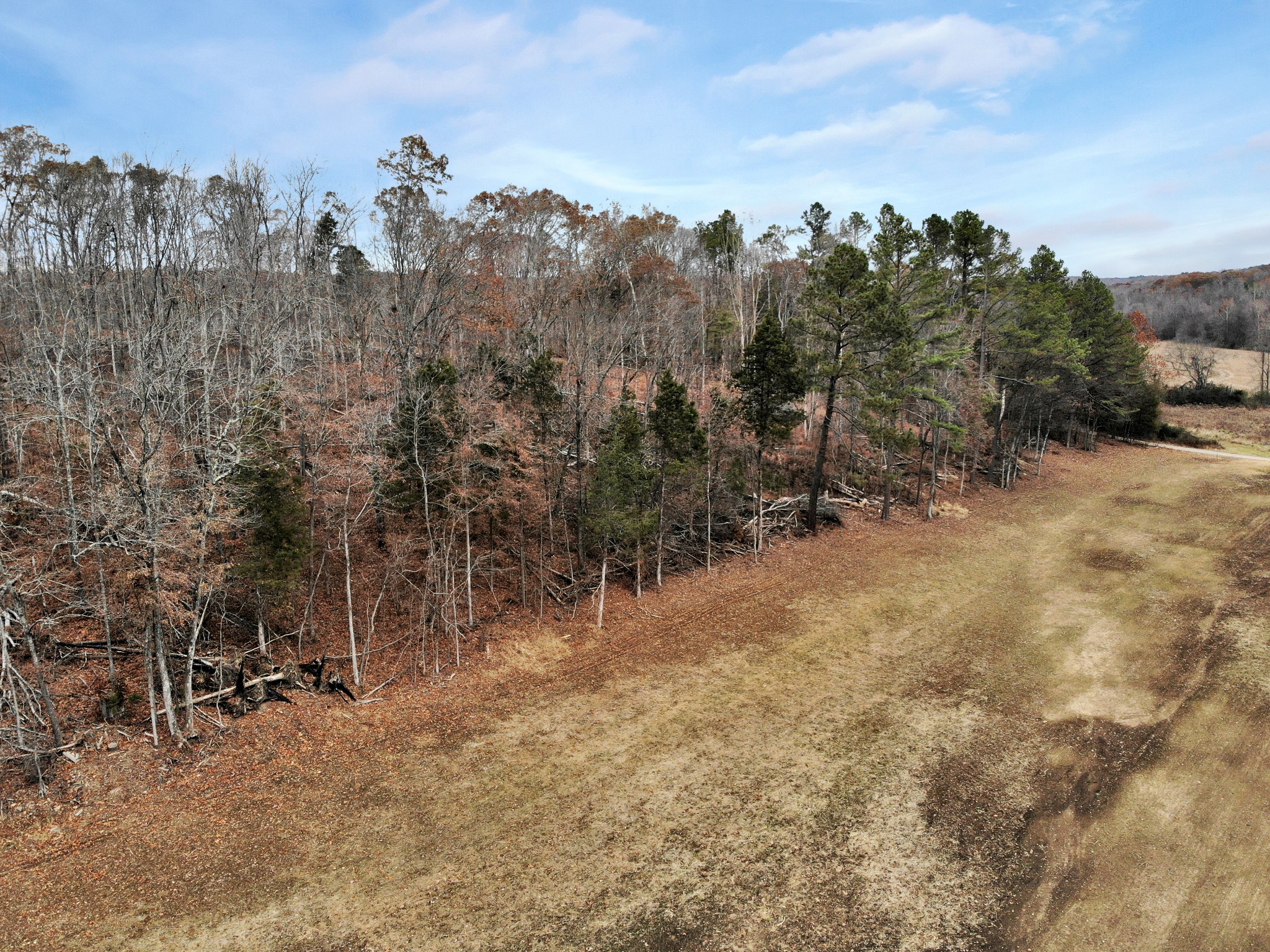 0 Boyd Road Dover, TN 37058 - Photo 4 of 10 Gallery Image 4