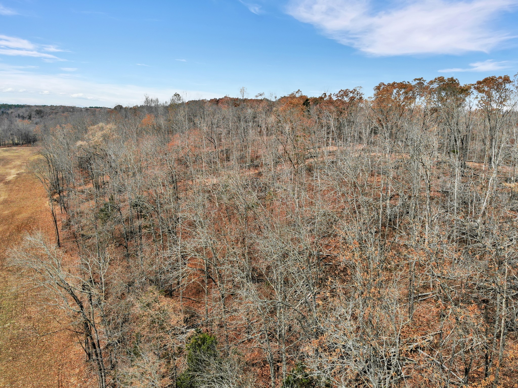 0 Boyd Road Dover, TN 37058 - Photo 7 of 10 Gallery Image 7