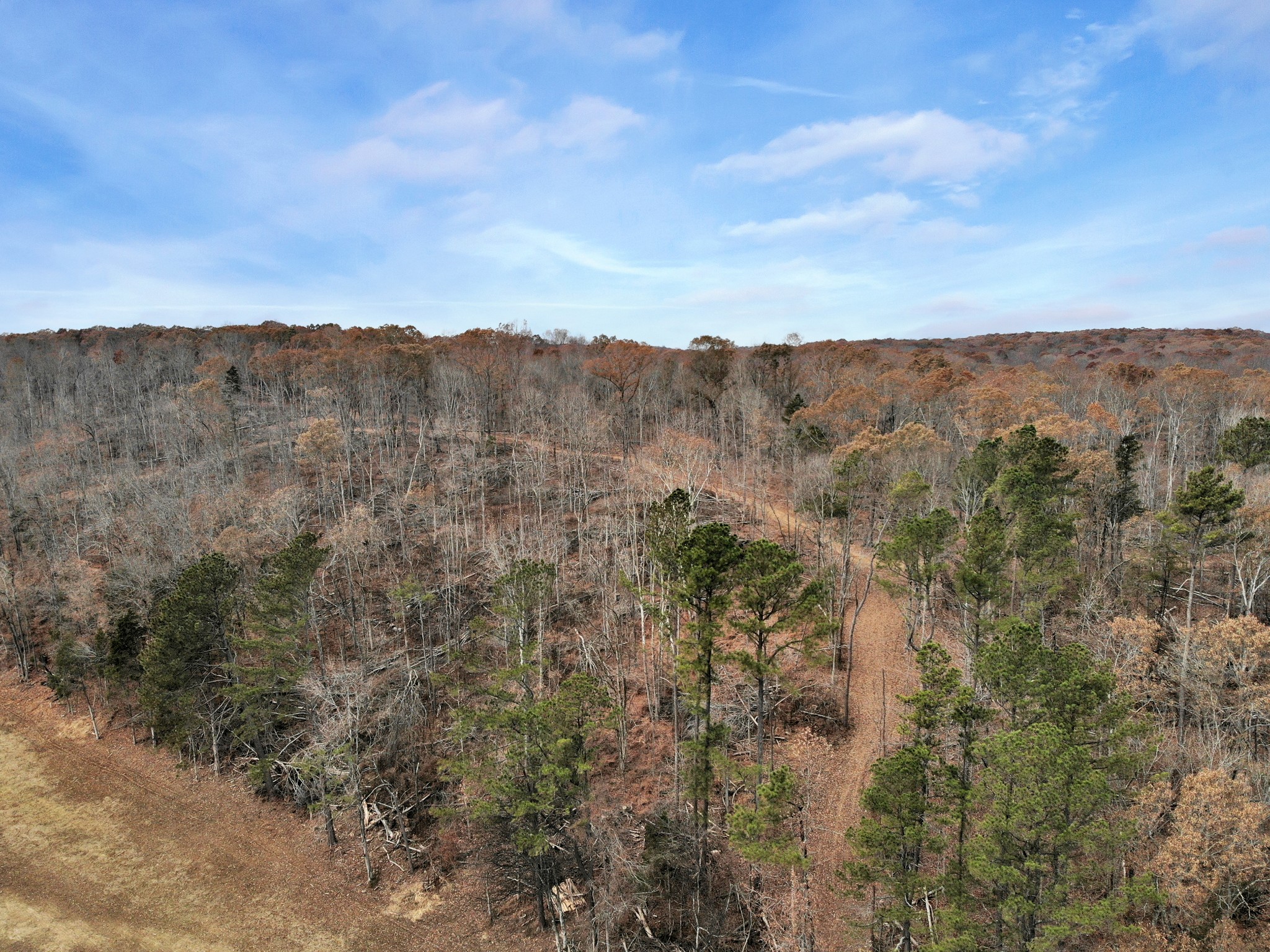 0 Boyd Road Dover, TN 37058 - Photo 8 of 10 Gallery Image 8