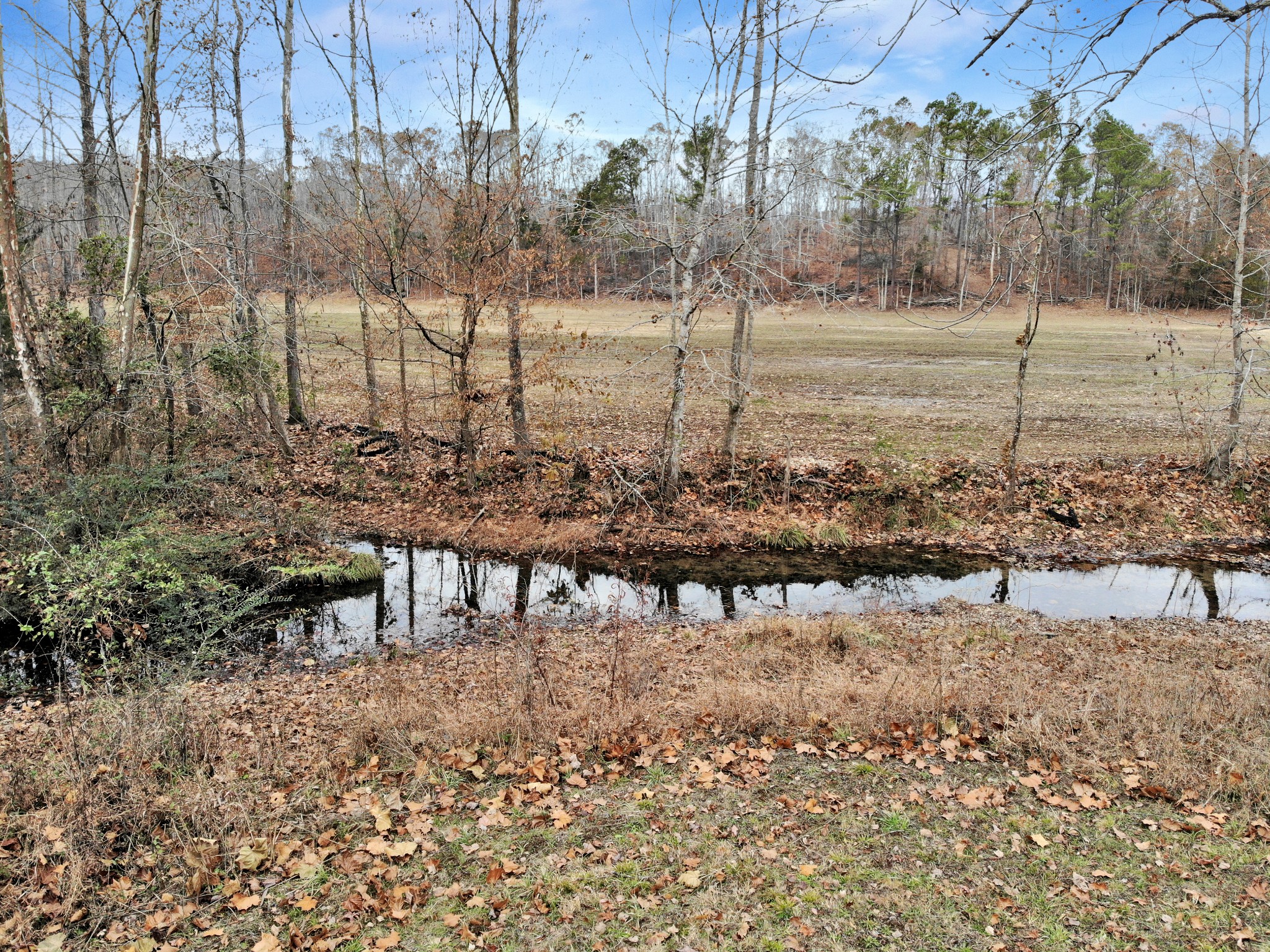 0 Boyd Road Dover, TN 37058 - Photo 9 of 10 Gallery Image 9