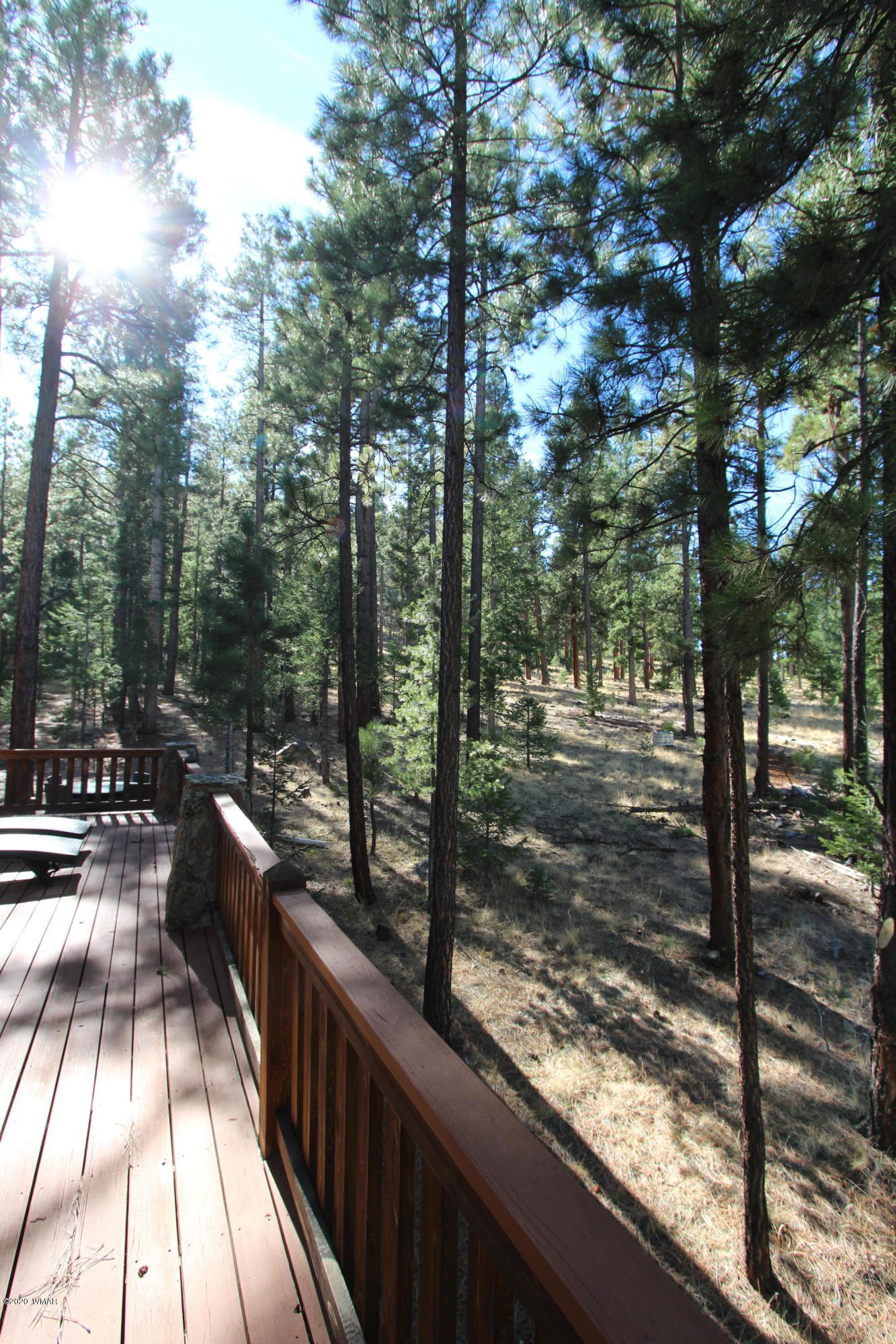 3 North 1068th Greer, AZ 85927 - Photo 35 of 39
