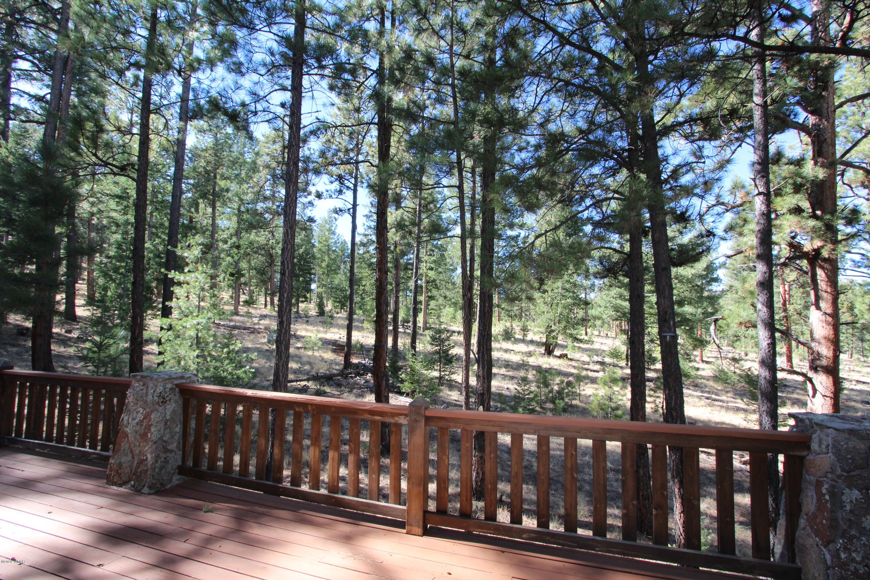 3 North 1068th Greer, AZ 85927 - Photo 36 of 39