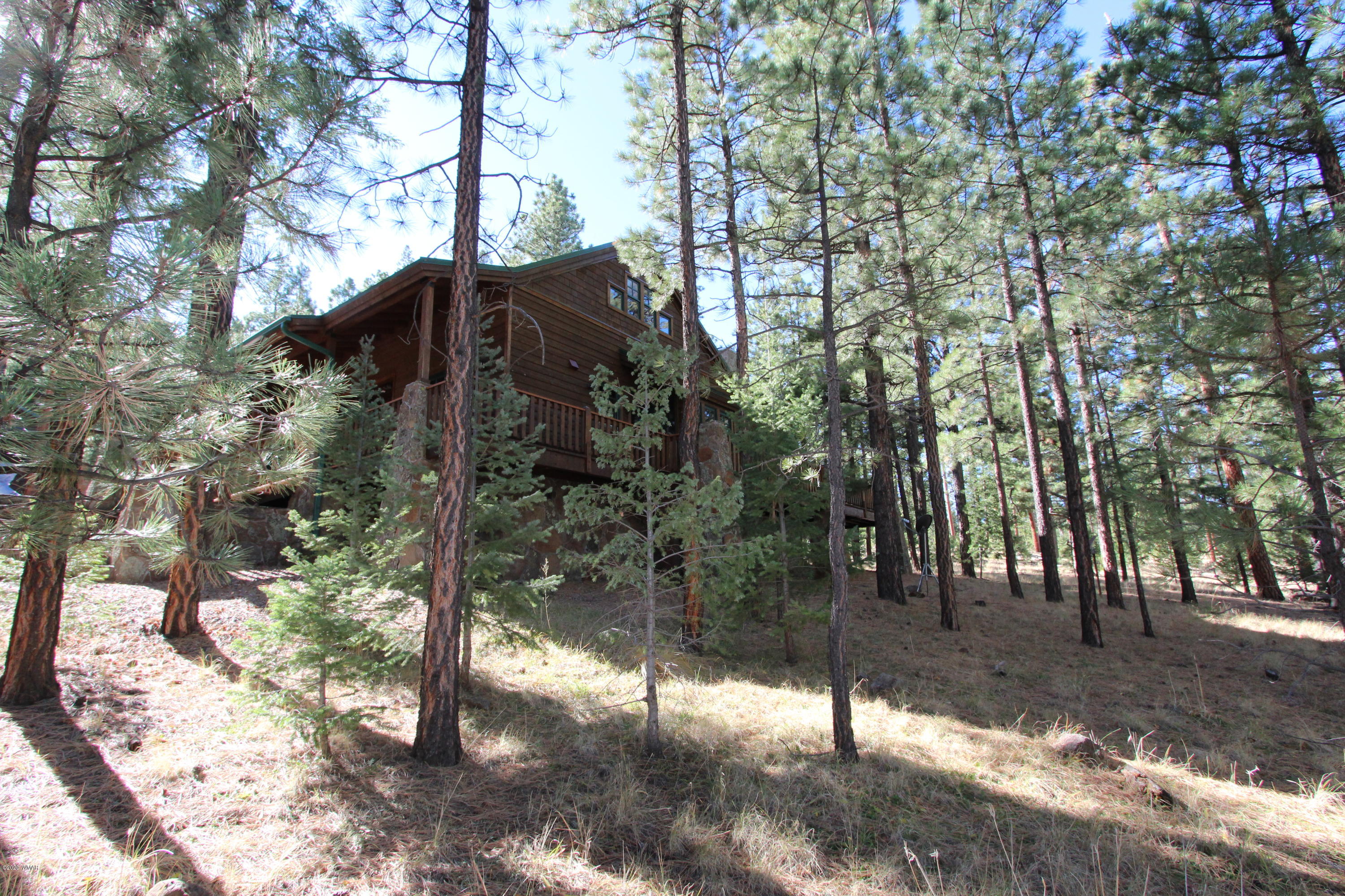 3 North 1068th Greer, AZ 85927 - Photo 37 of 39