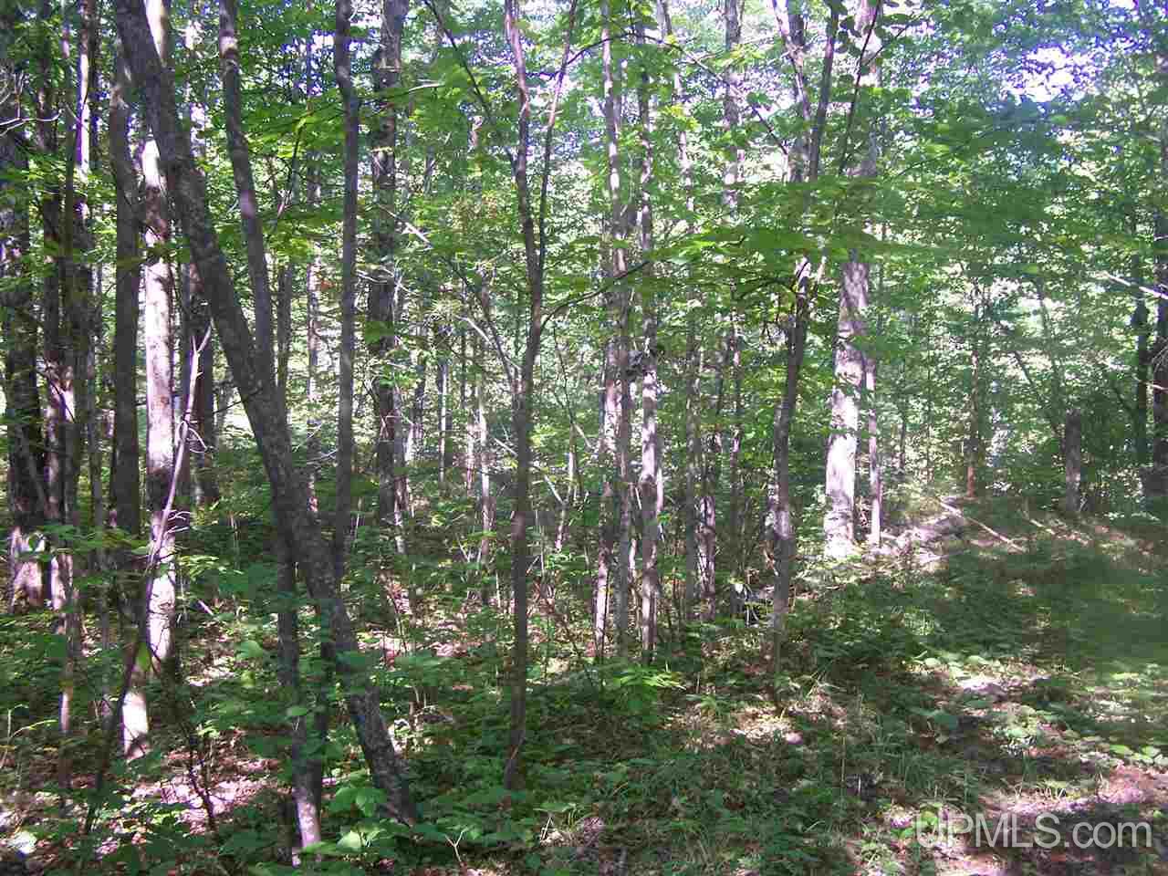C-wi Park Road Hurley, WI 54534 - Photo 25 of 27