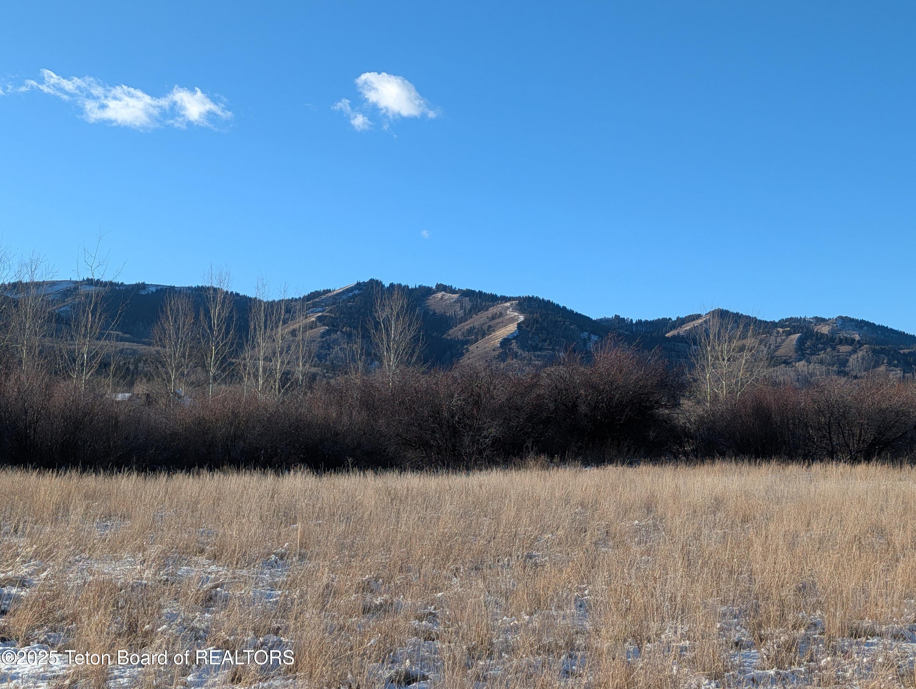 3230 Old Post Lane Victor, ID 83455 - Photo 7 of 10 7 Big Hole Mountains View