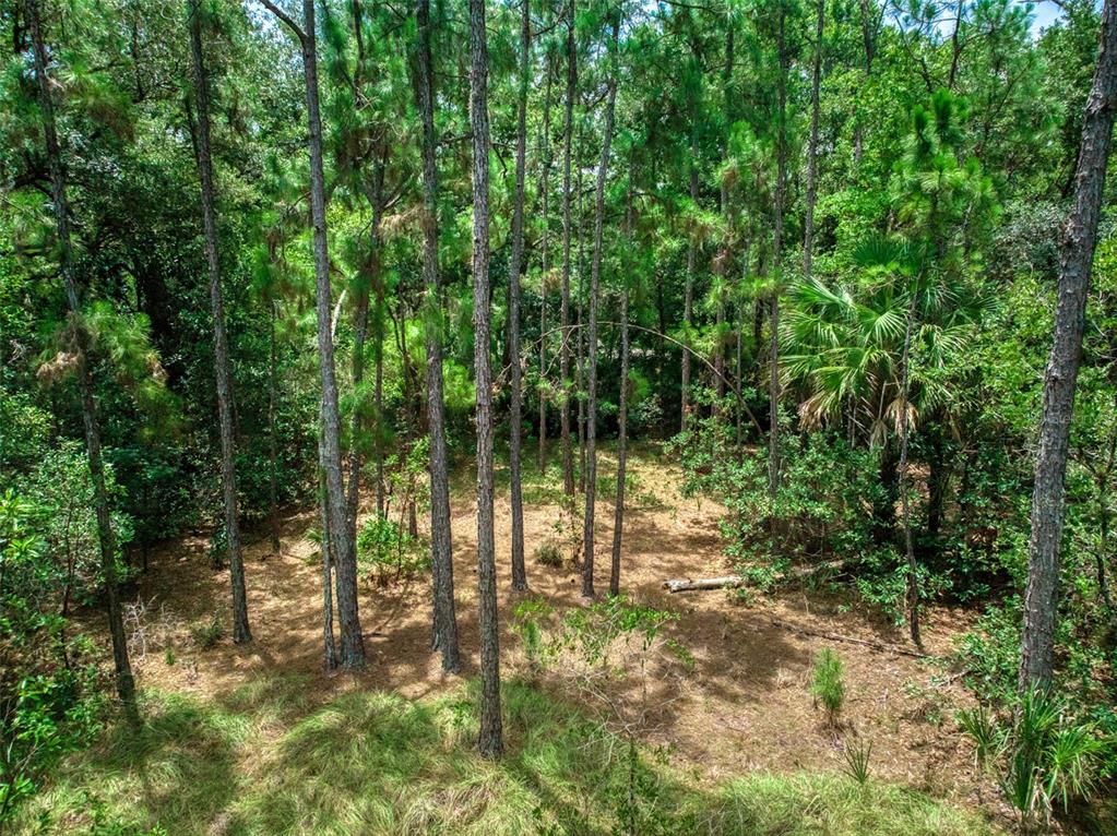 5101 Whippoorwill Road Sebring, FL 33875 - Photo 11 of 18