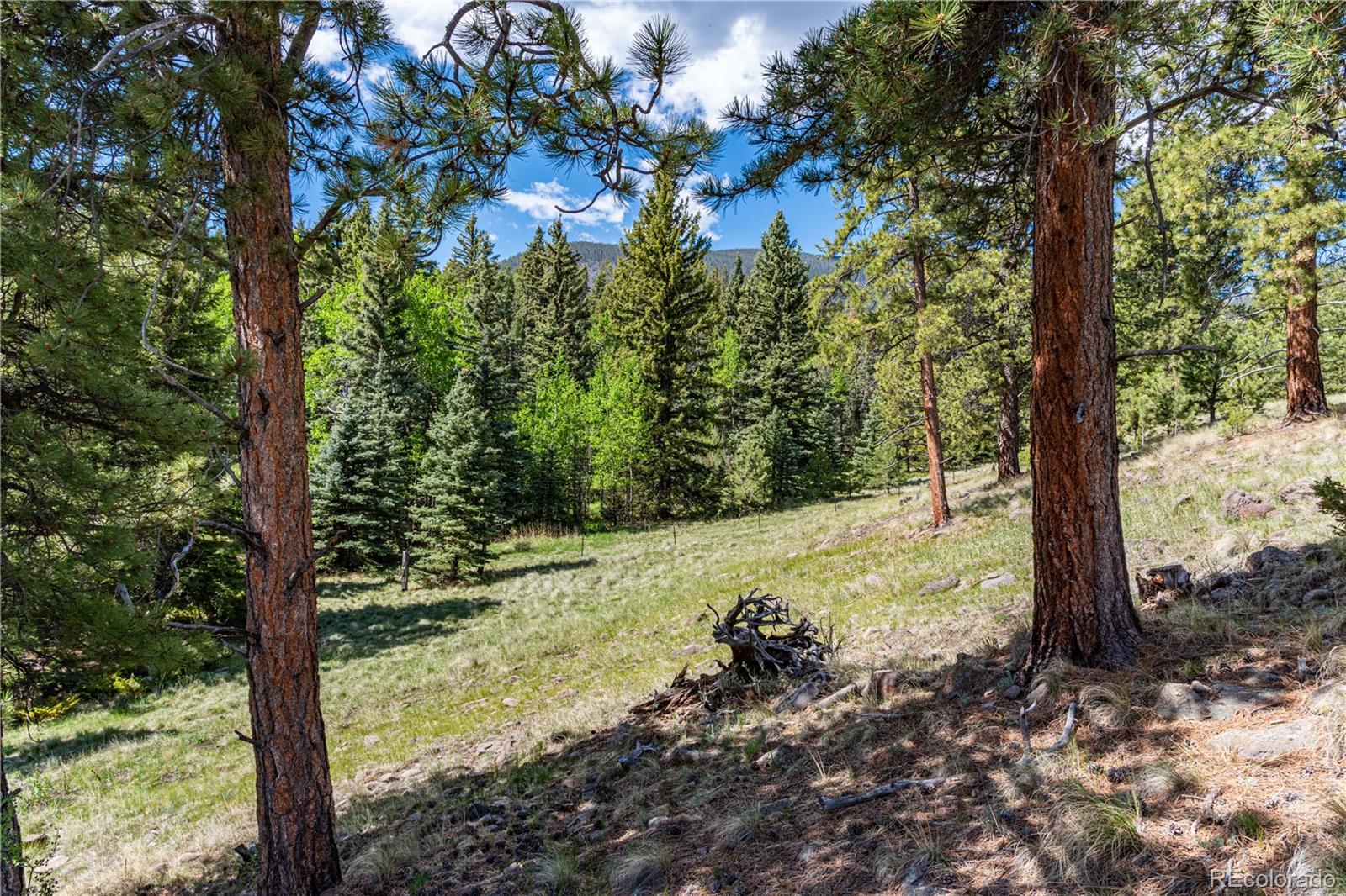 298 Steven Road Canon City, CO 81212 - Photo 16 of 35