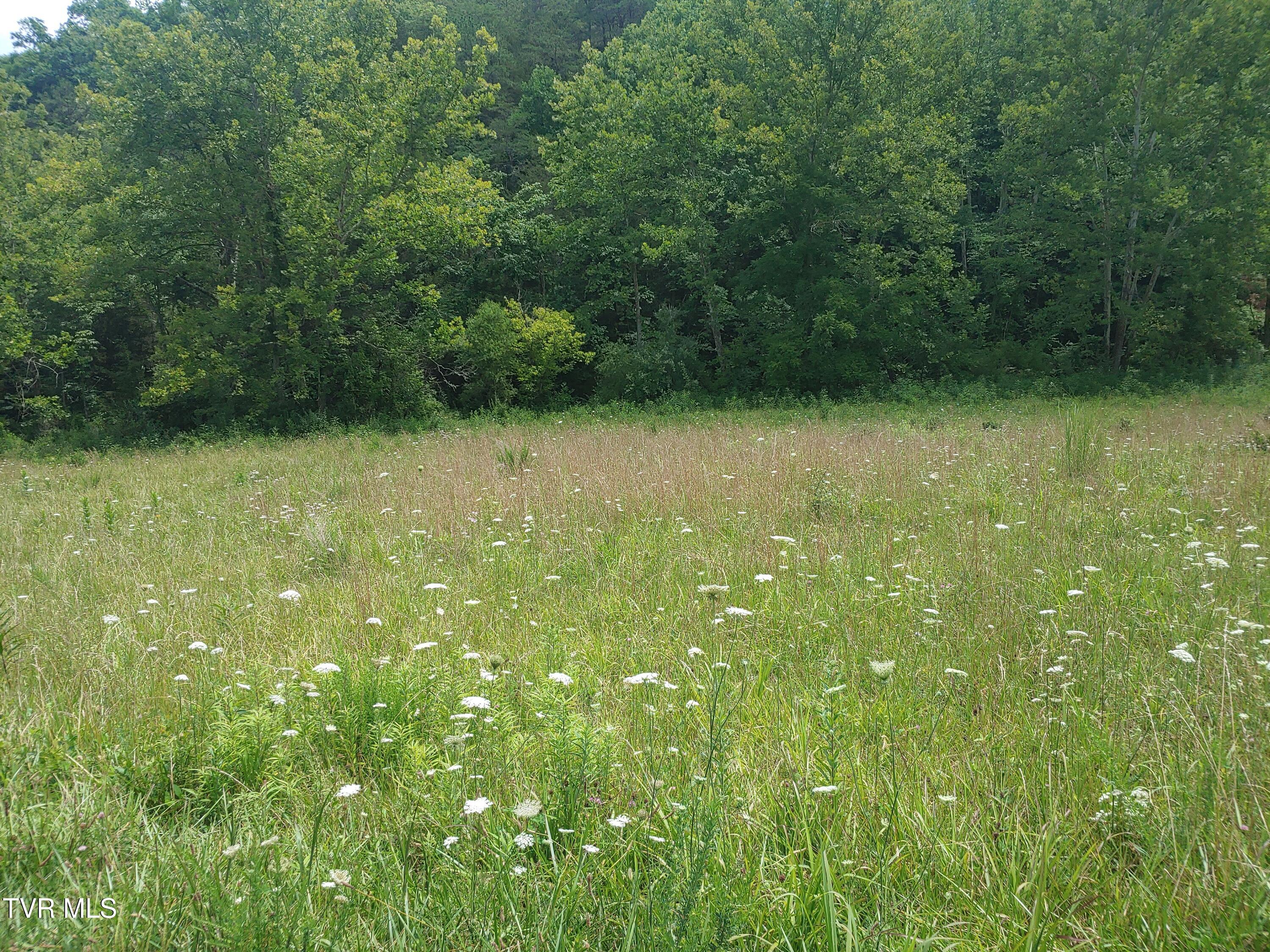 0 War Creek Road Eidson, TN 37731 - Photo 11 of 12 0705261414e