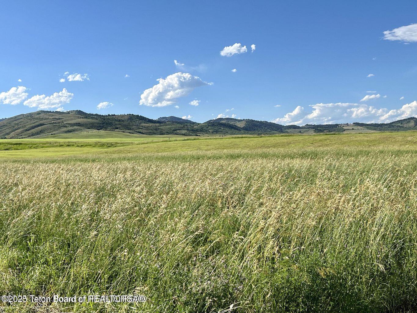 Lot 2 Toms Canyon Road Auburn, WY 83111 - Photo 4 of 14 Gibbs 3