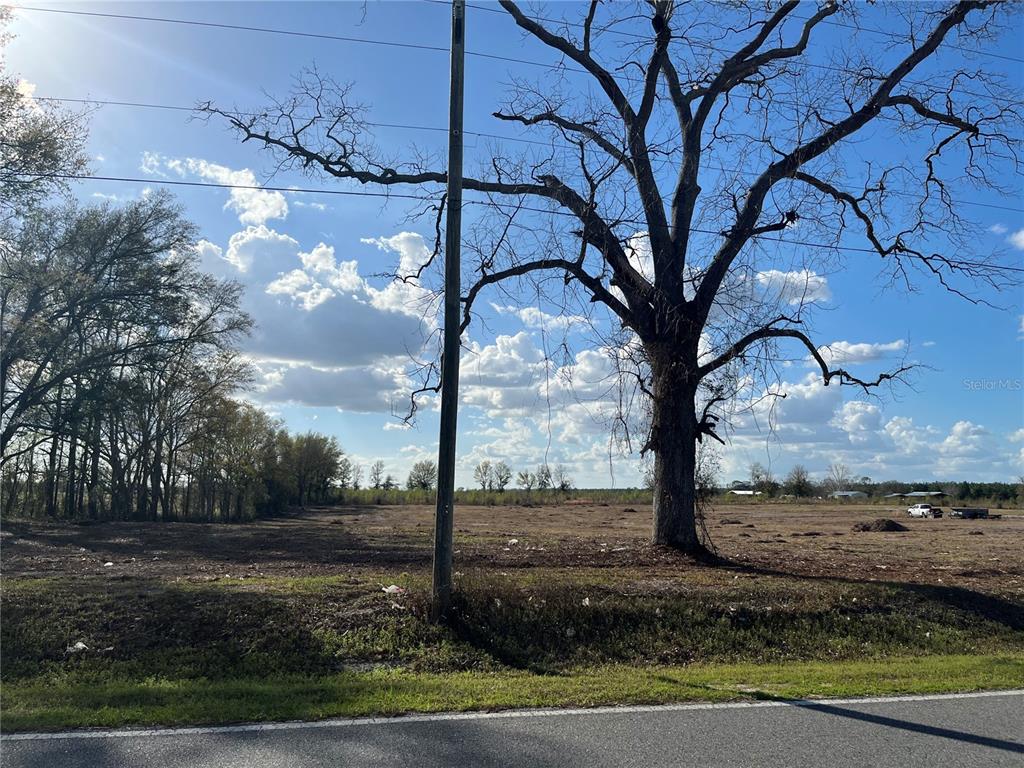Tbd 185th Road Live Oak, FL 32060 - Photo 11 of 17