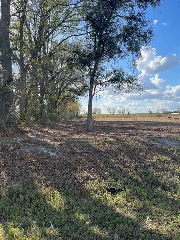 Tbd 185th Road Live Oak, FL 32060 - Photo 13 of 17 a view of dirt yard with a large tree
