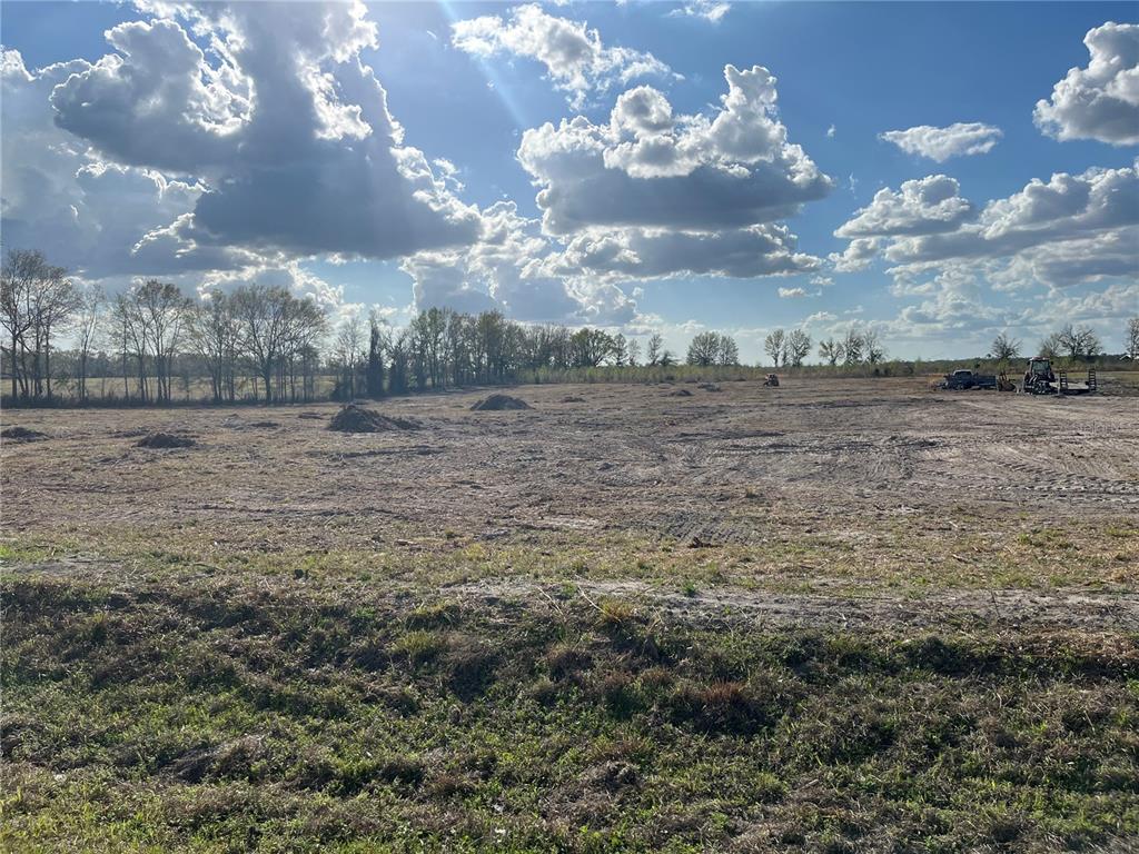 Tbd 185th Road Live Oak, FL 32060 - Photo 5 of 17 a view of a big yard