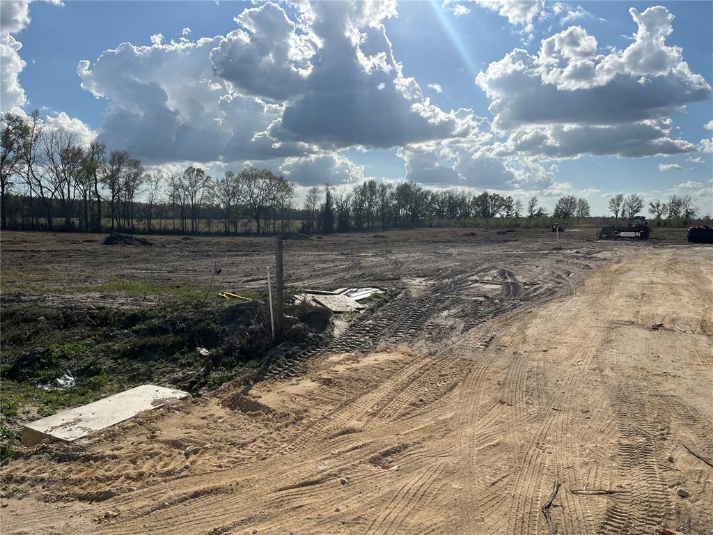 Tbd 185th Road Live Oak, FL 32060 - Photo 6 of 17 a view of a backyard of the house