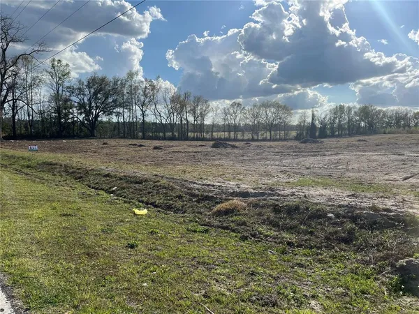 a view of a big yard