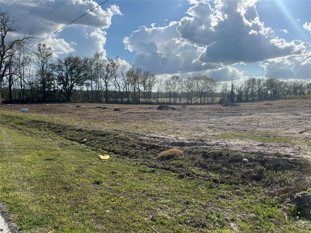 Tbd 185th Road Live Oak, FL 32060 - Photo 8 of 17 a view of a big yard