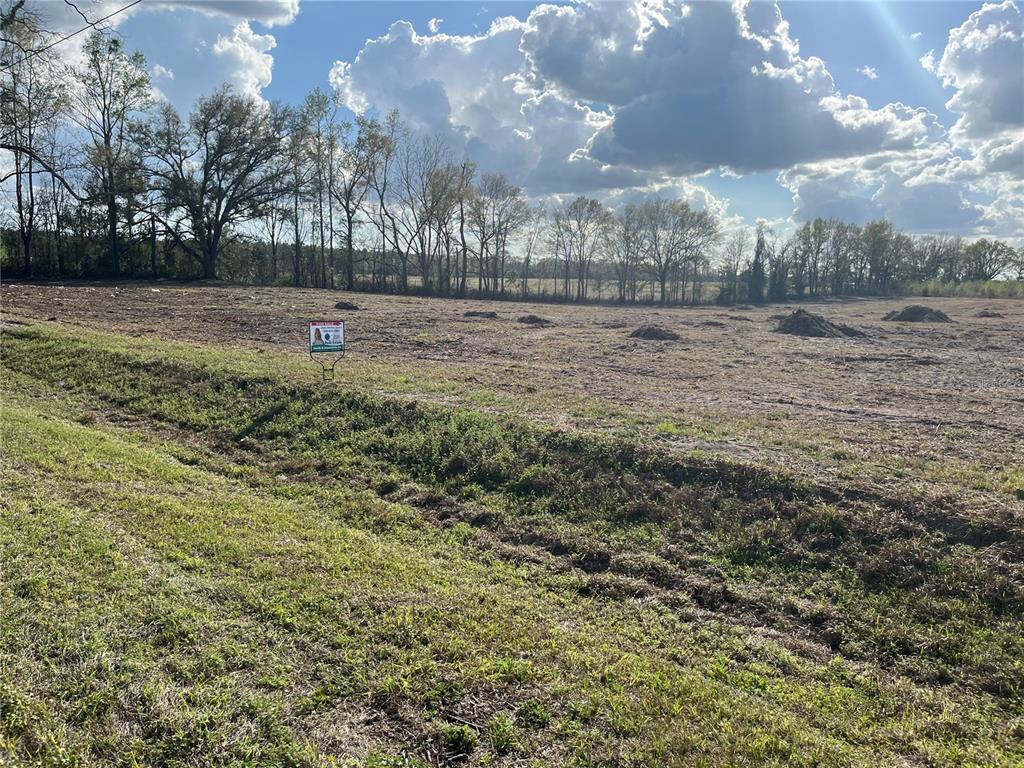 Tbd 185th Road Live Oak, FL 32060 - Photo 9 of 17 a view of road with large trees