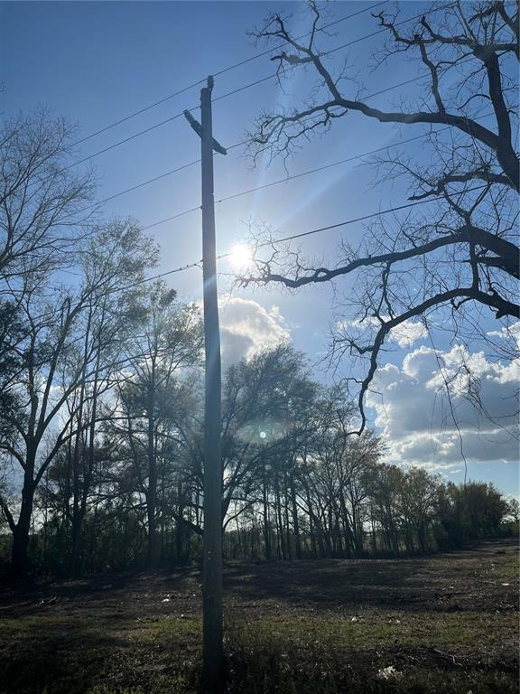 Tbd 185th Road Live Oak, FL 32060 - Photo 10 of 17 a view of a yard in front of house